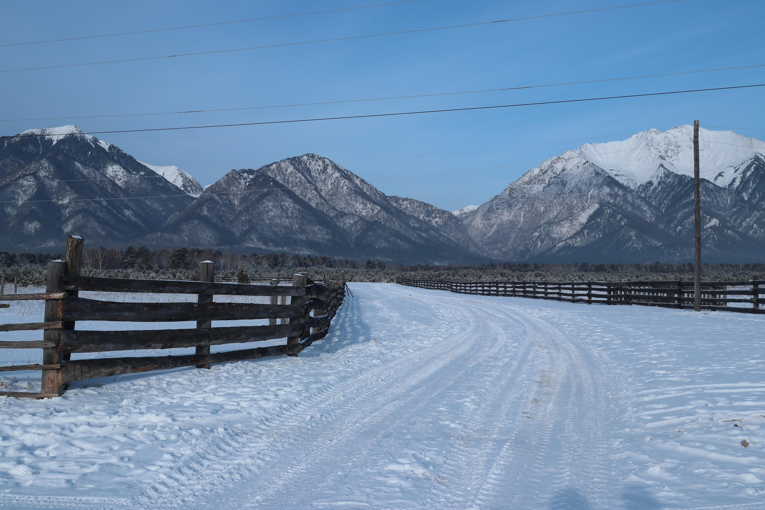 Аршан. Январь 2024. Путешественник-фотограф из Санкт-Петербурга Татьяна Свистулина