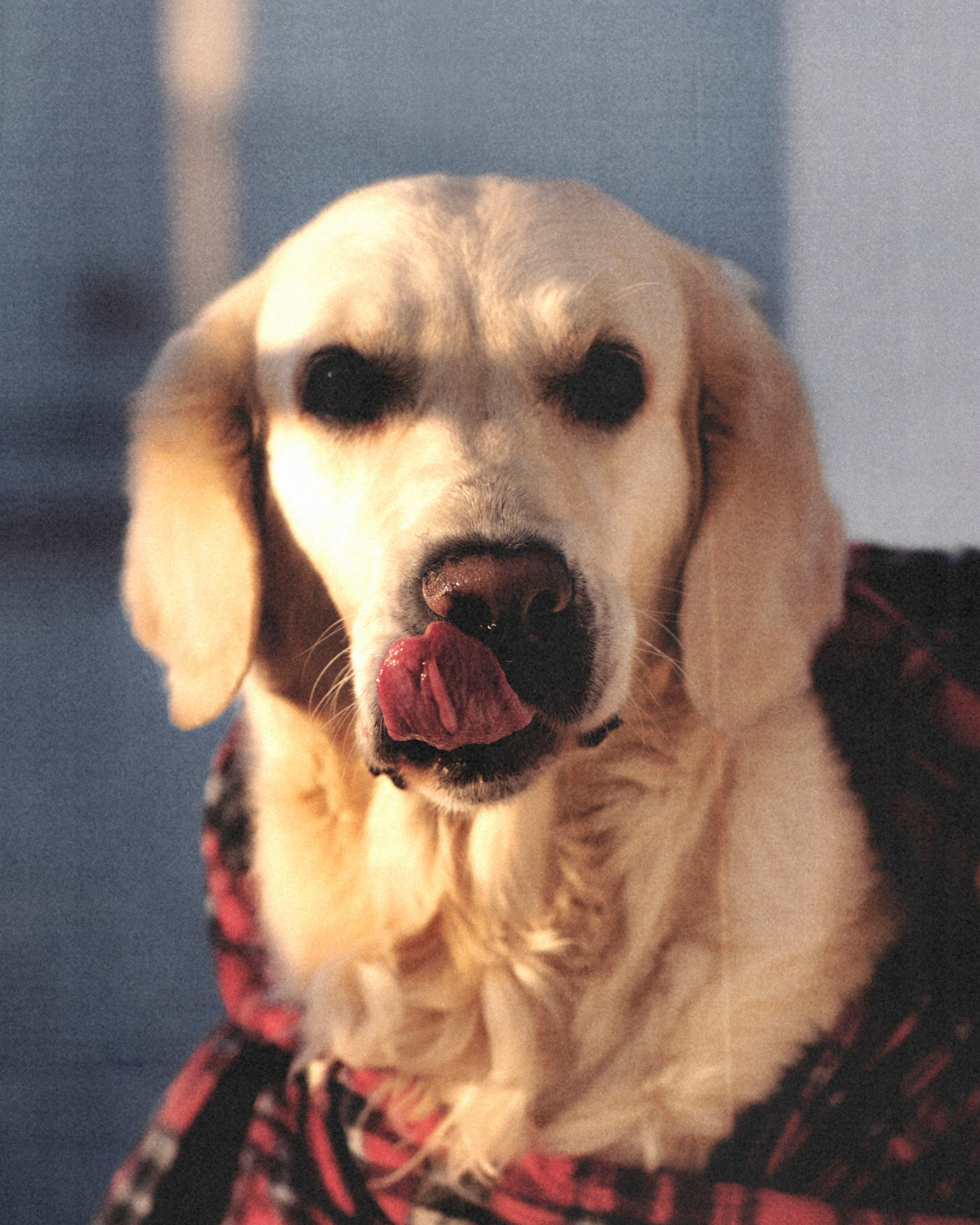 Портретный фотограф в Москве