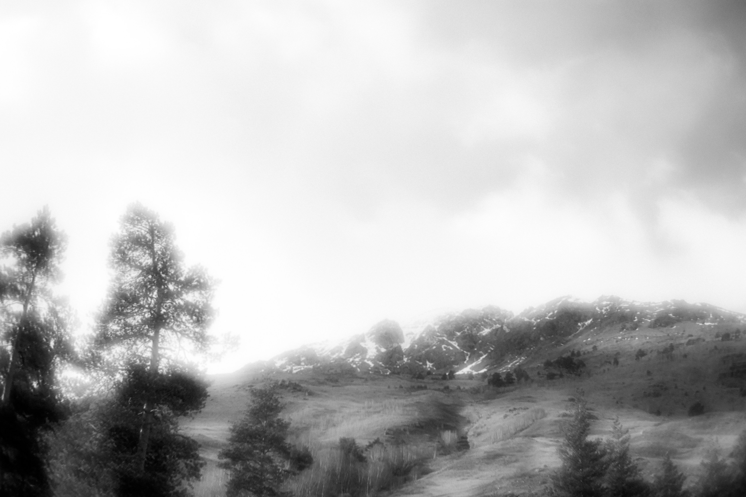 Ч.б. фотографии. Фотографии Лены Соколовой