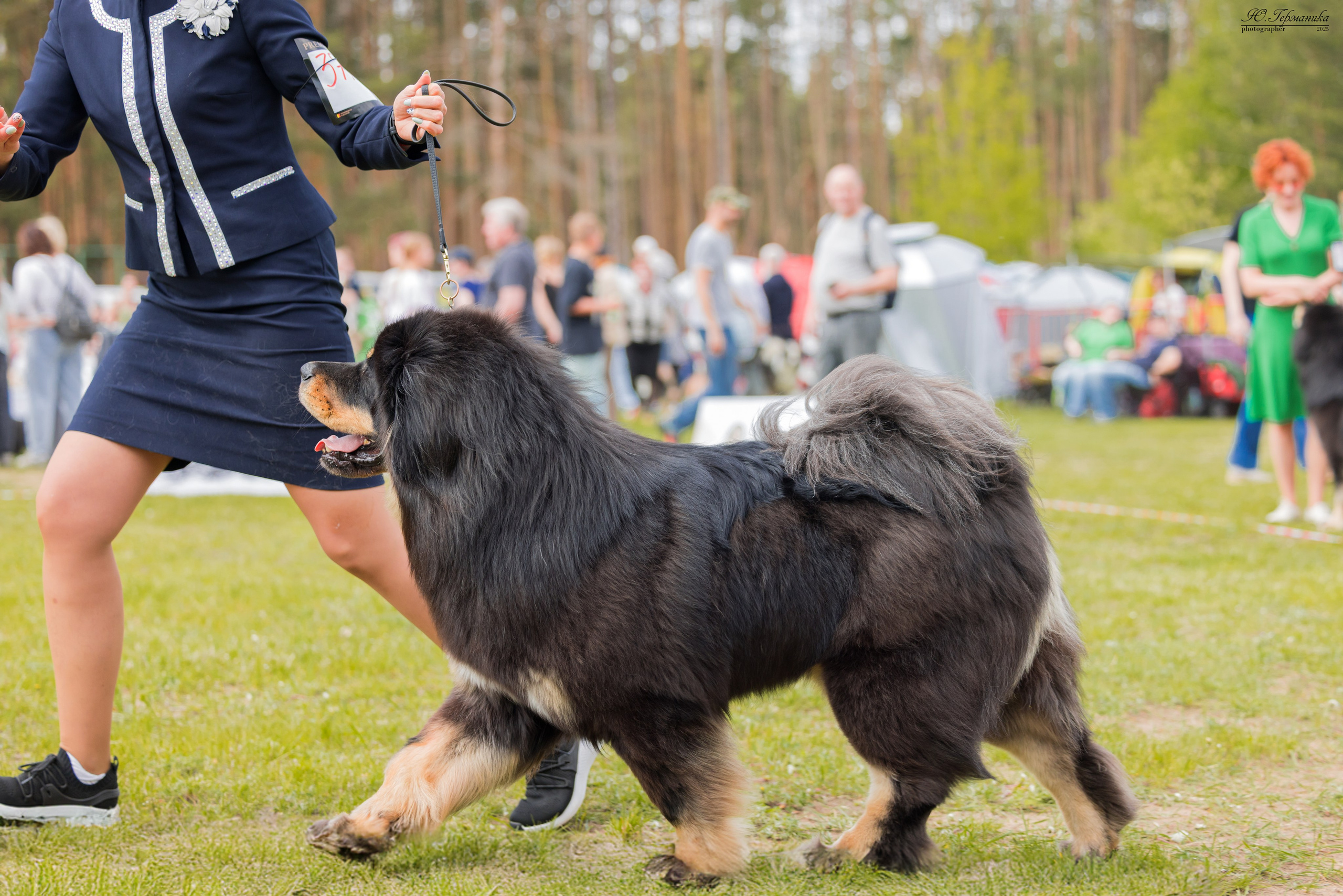 Суздаль(Владимир)17-18.05.2025. Фотограф-анималист Юлия Германика