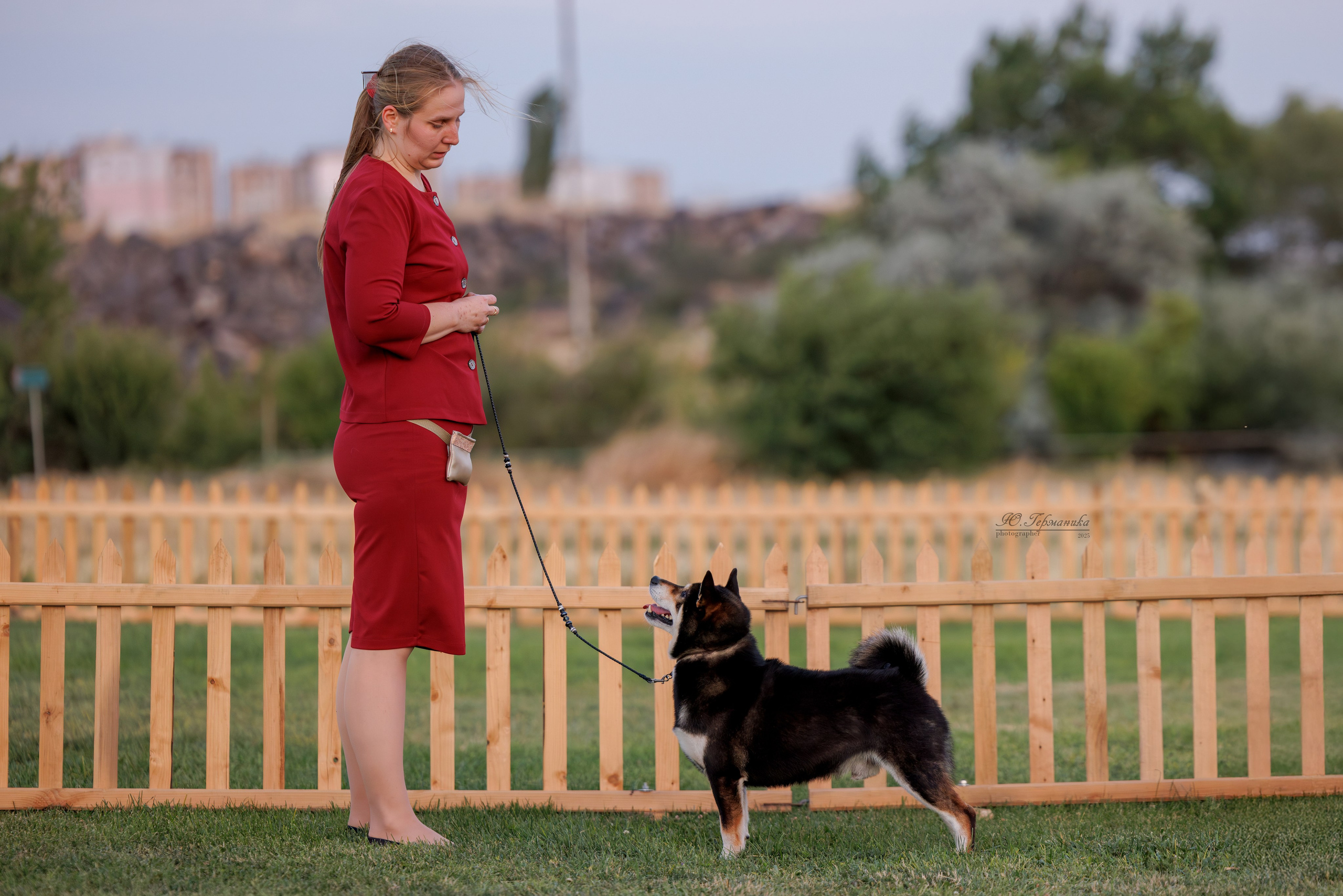 Ереван 3хCACIB 23-25.06.2025. Фотограф-анималист Юлия Германика