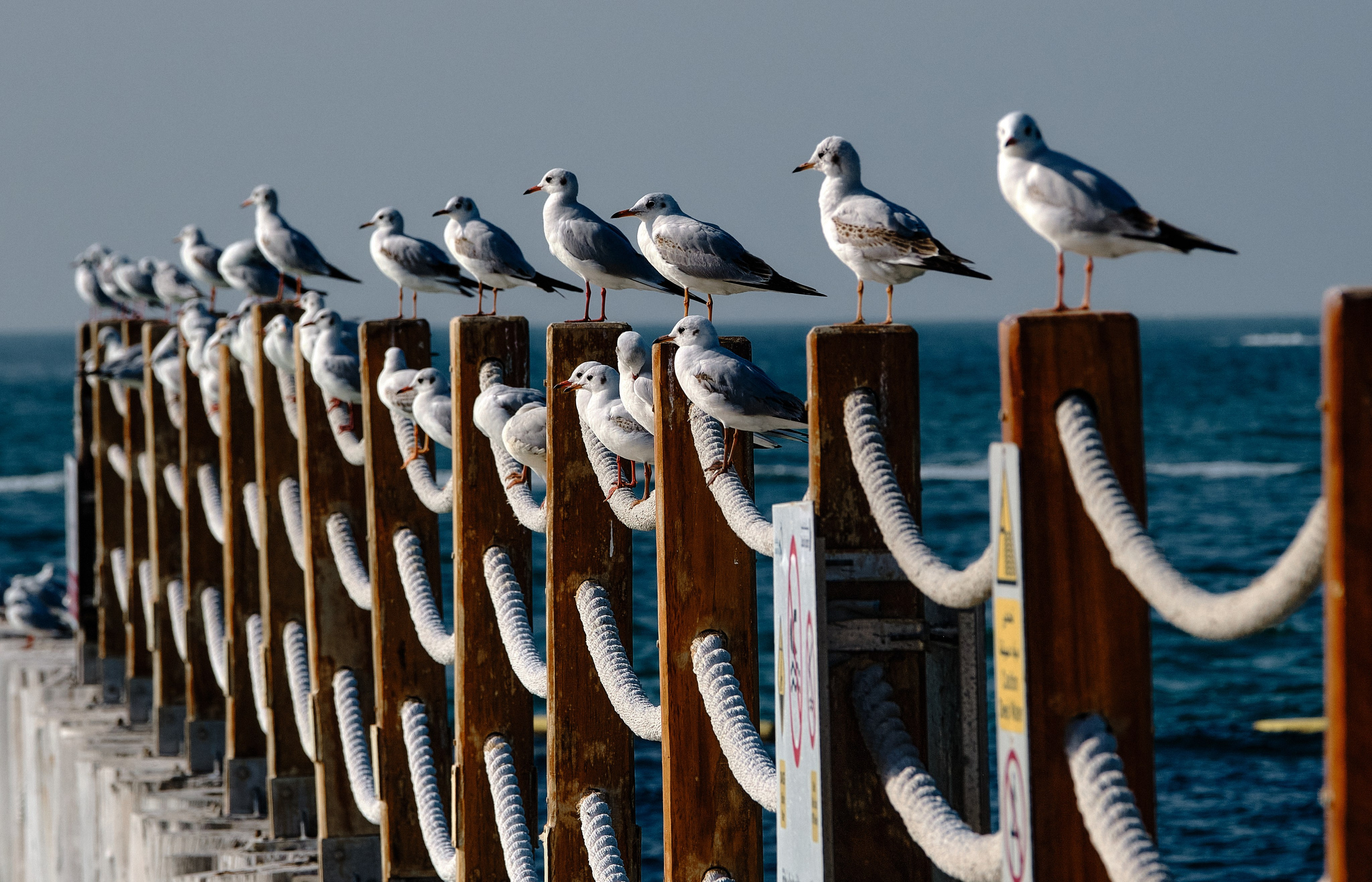 Dubai & Abu Dhabi. Aleksandr Kobtsev