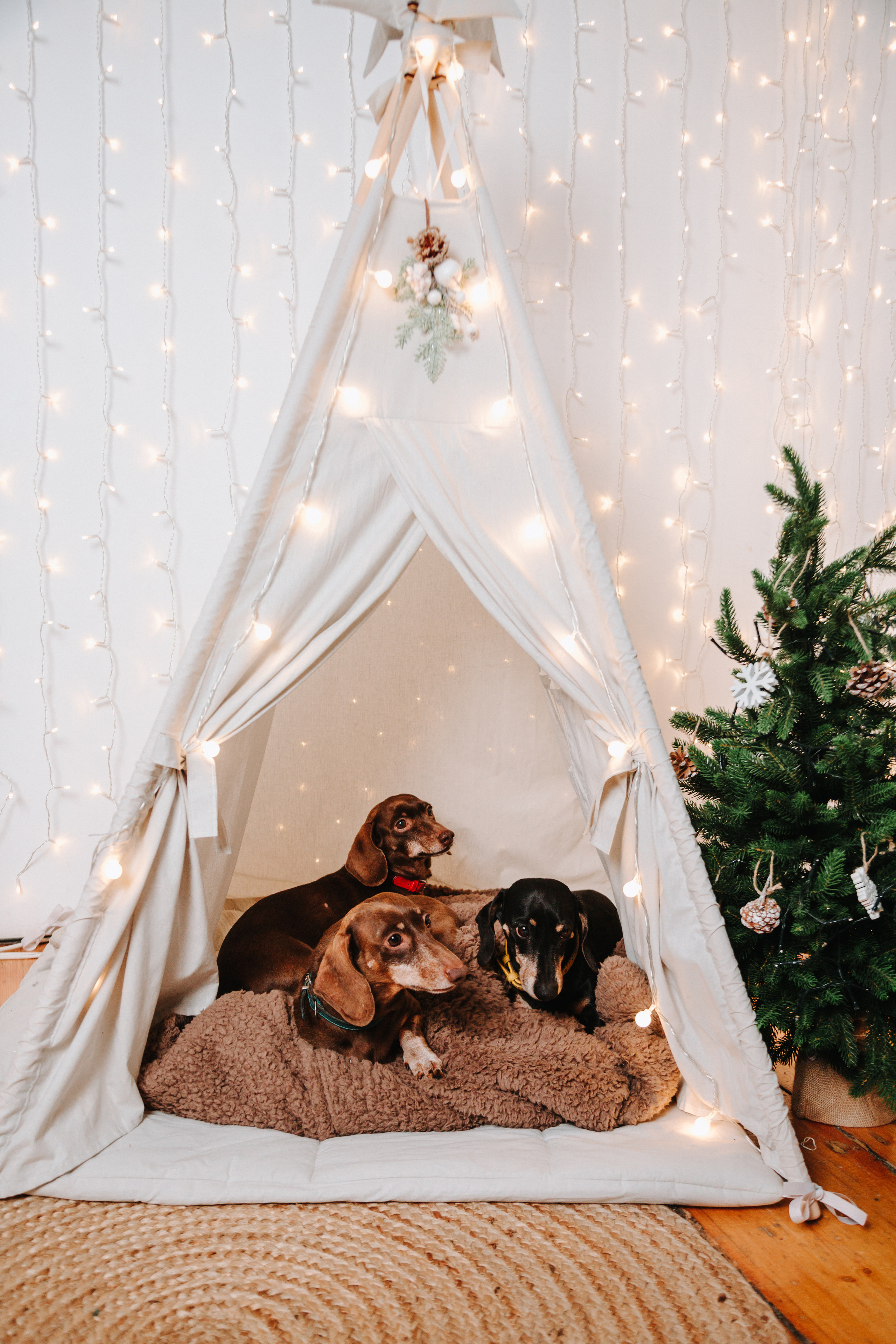 Надежда — доктор наук (бизнес-съёмка). Семейный и свадебный фотограф в Воронеже Майя Добровольская