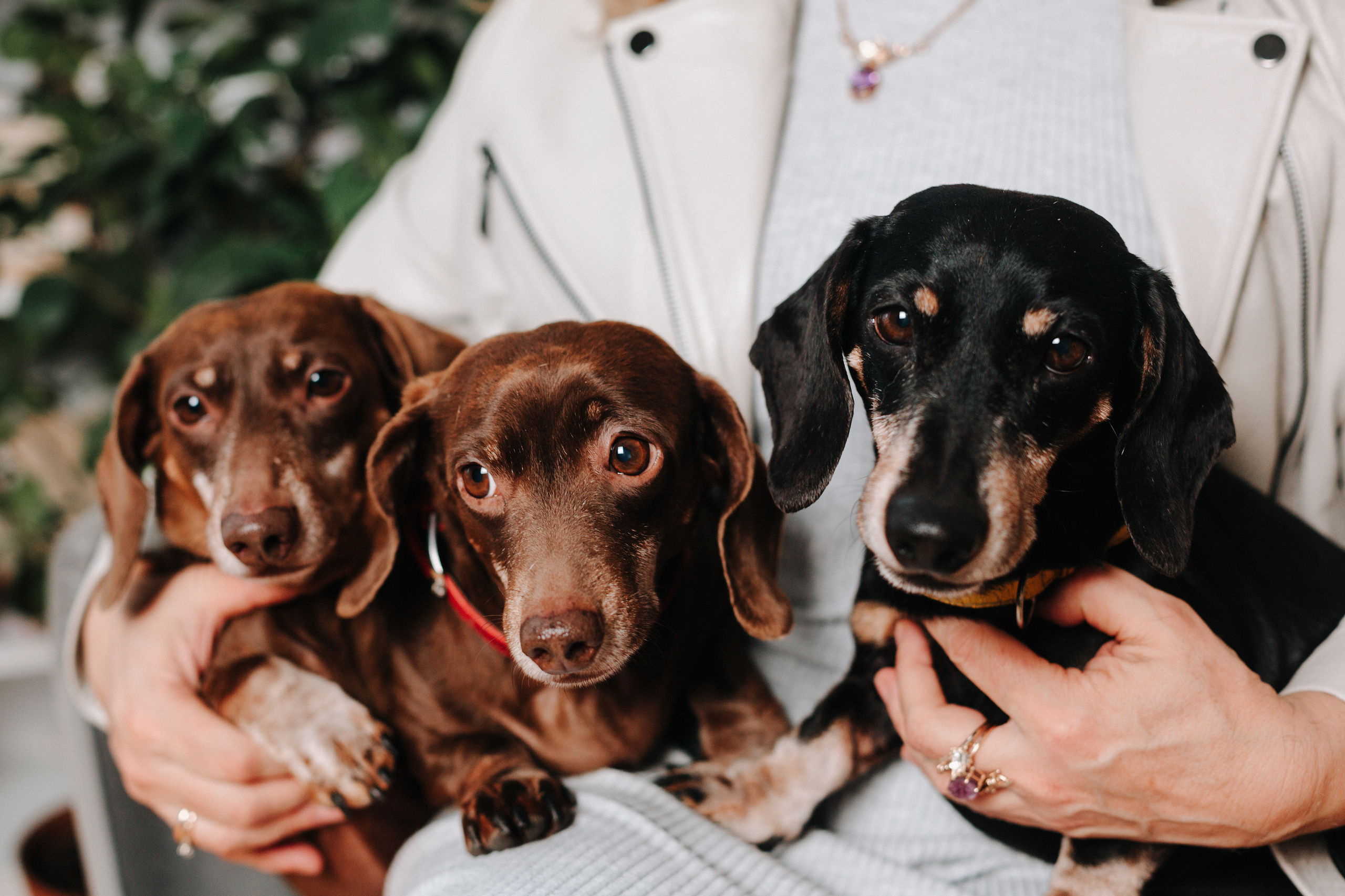 НОВОГОДНИЕ. Семейный и свадебный фотограф в Воронеже Майя Добровольская