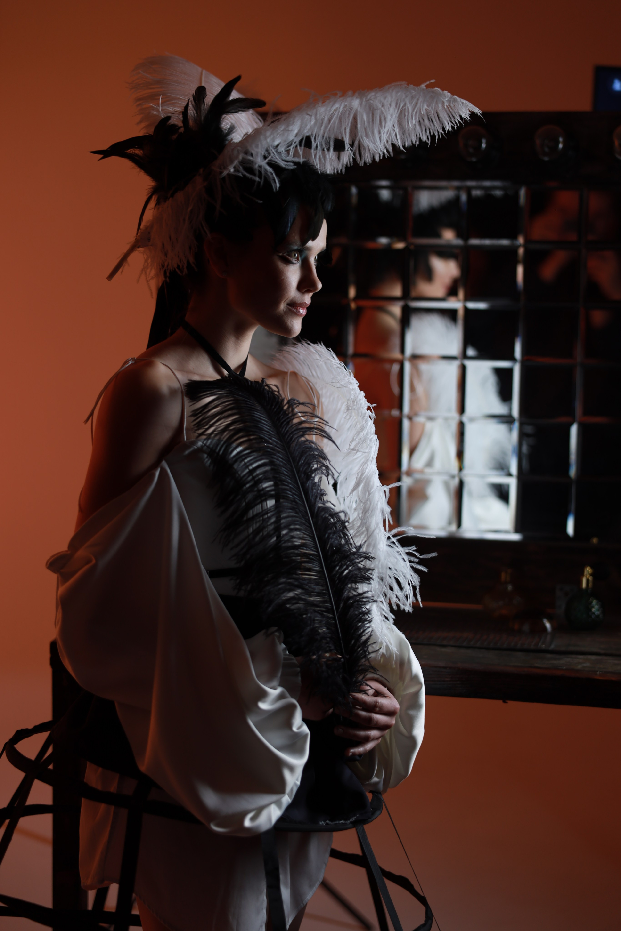 Перья. Съемка в студии под ваш запрос, студийные съемки, фотографии архитектурных объектов — Александр Евстигнеев — фотограф Москва