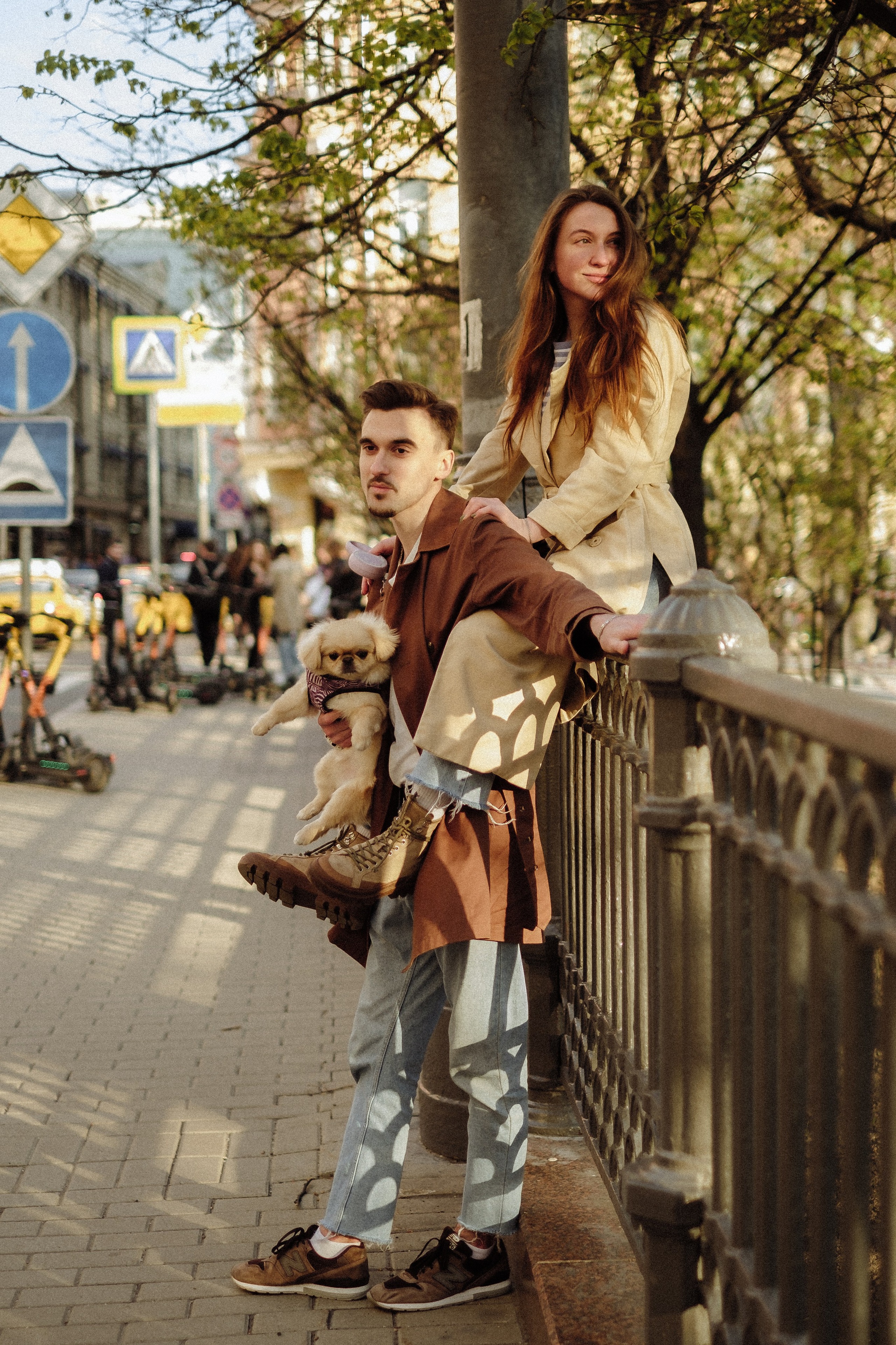 Пекинес. Свадебный и портретный фотограф в Москве, Туле и Брянске Дара Евсеева