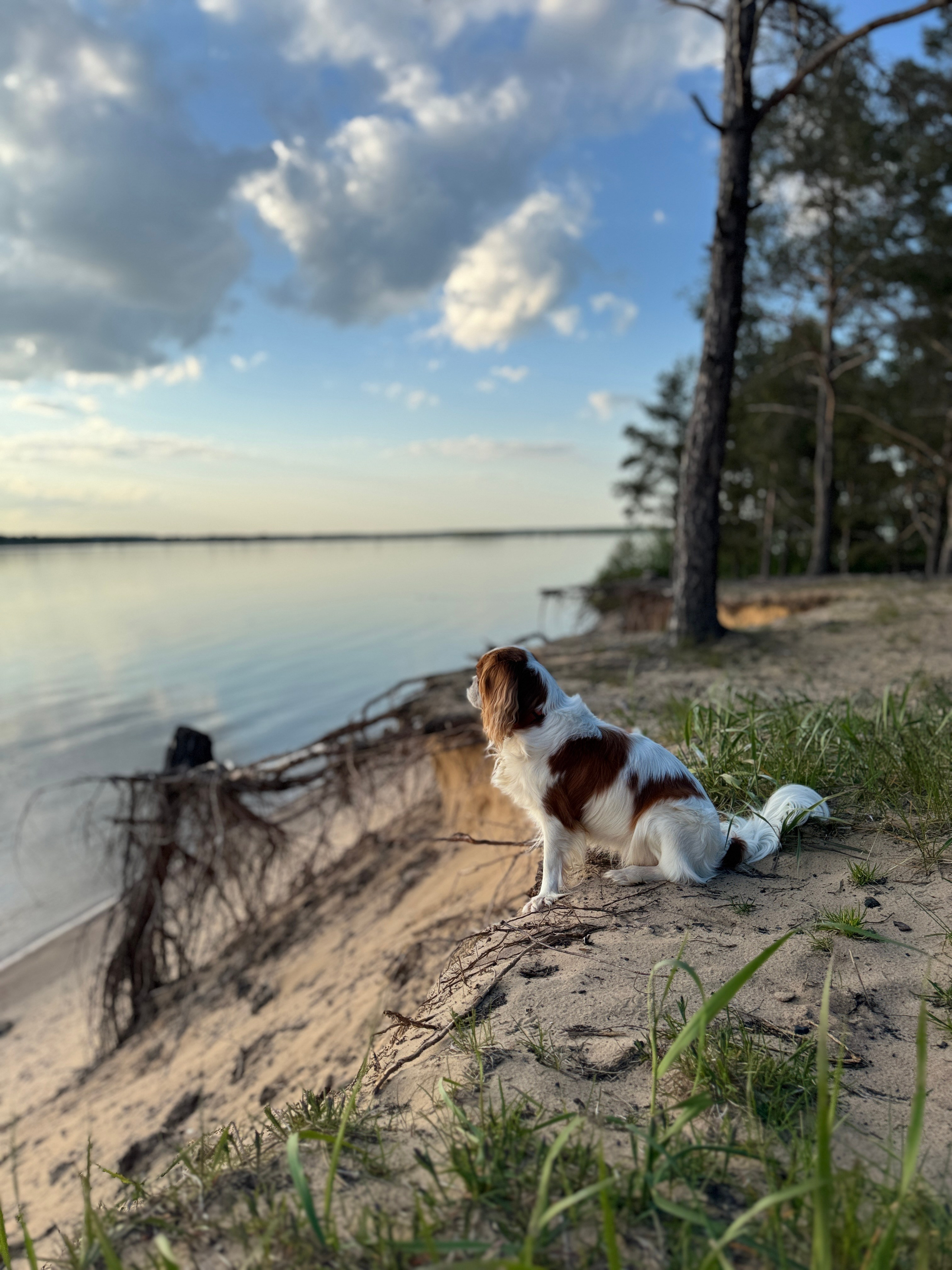 Добро пожаловать в Кемпинг — уникальное место для отдыха на лоне природы!