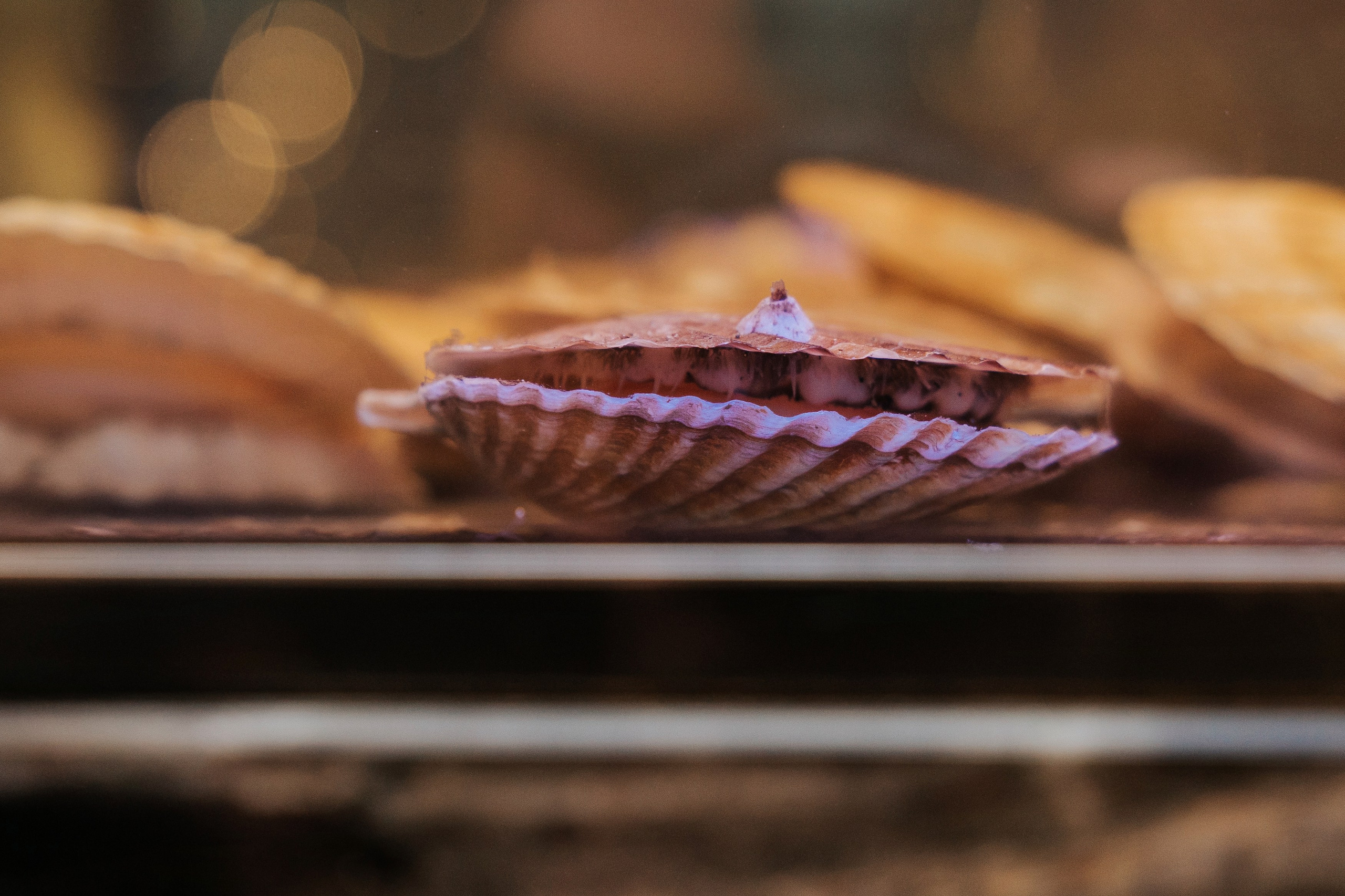 MAIN WINE. Фотограф Хабаровск