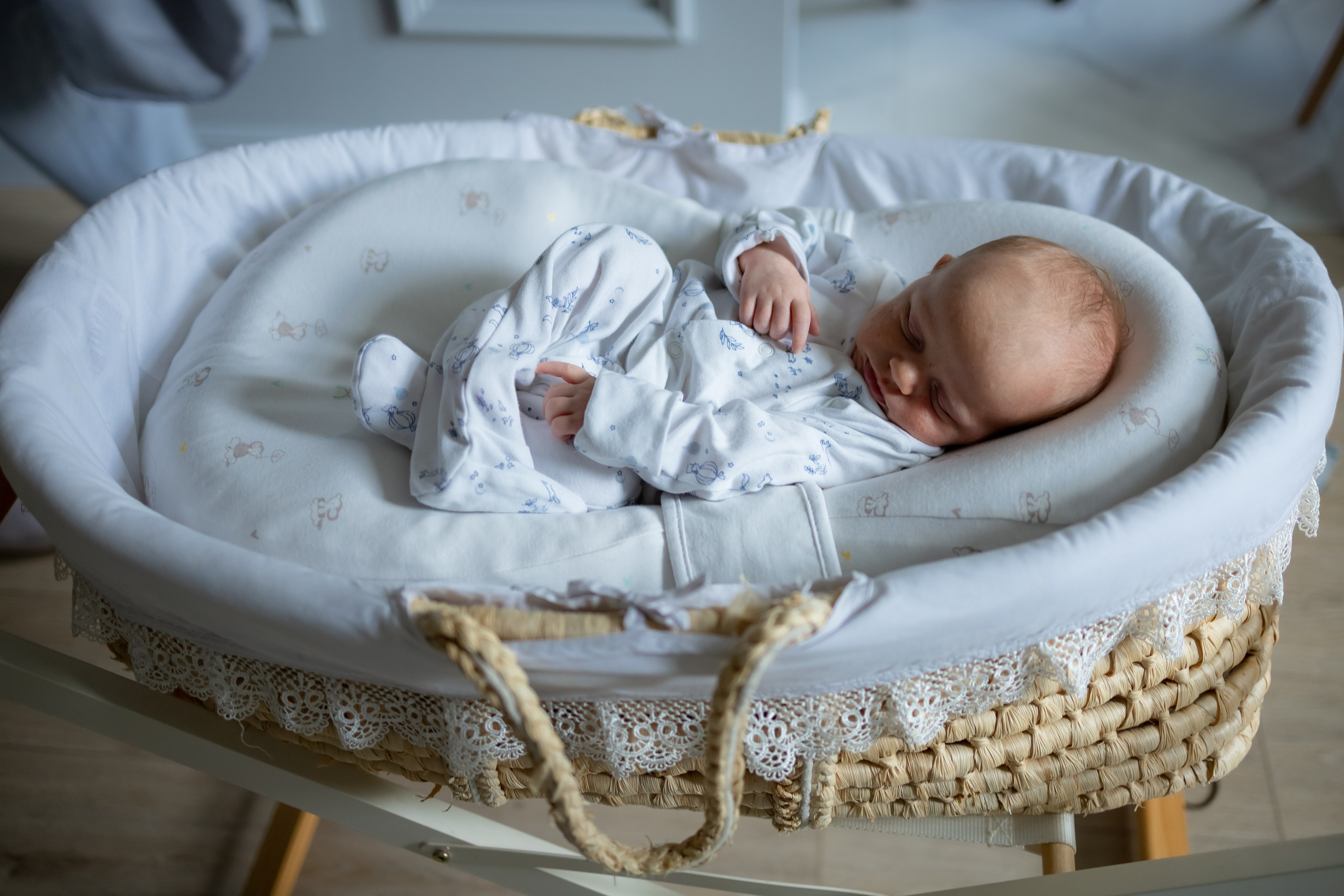 Мирослав и семья. Ангелина Богданова, междисциплинарная художница