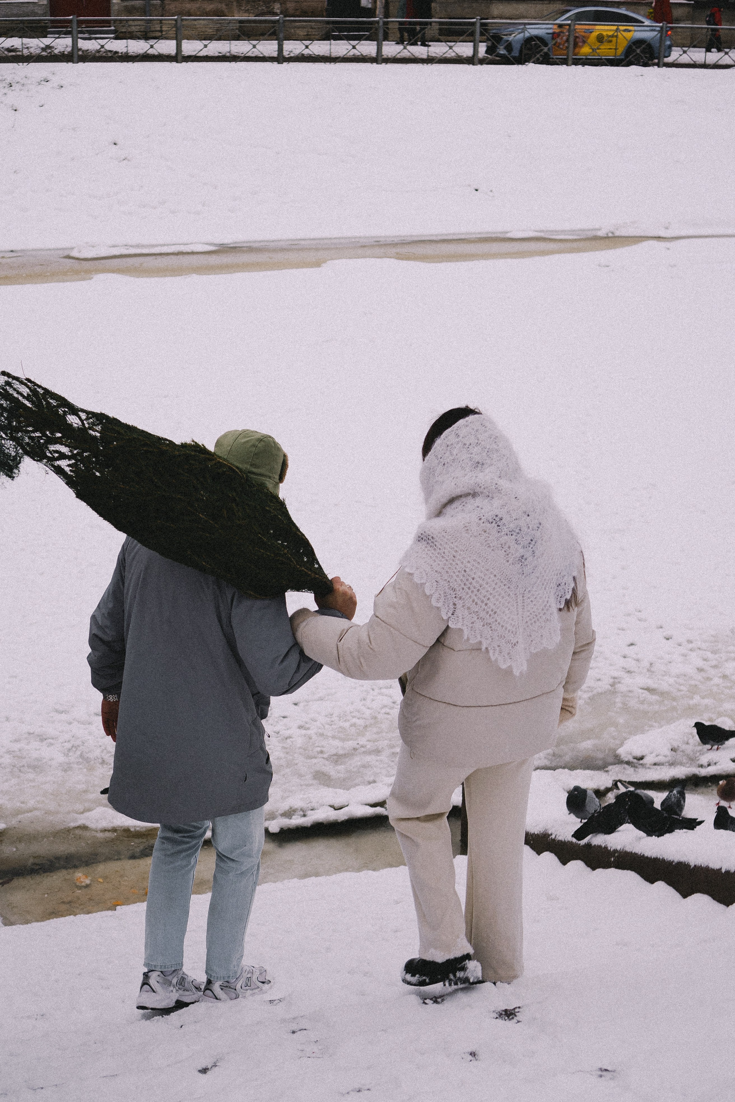 Зимняя история. Профессиональный фотограф, Санкт-Петербург — Виктория Богомолова
