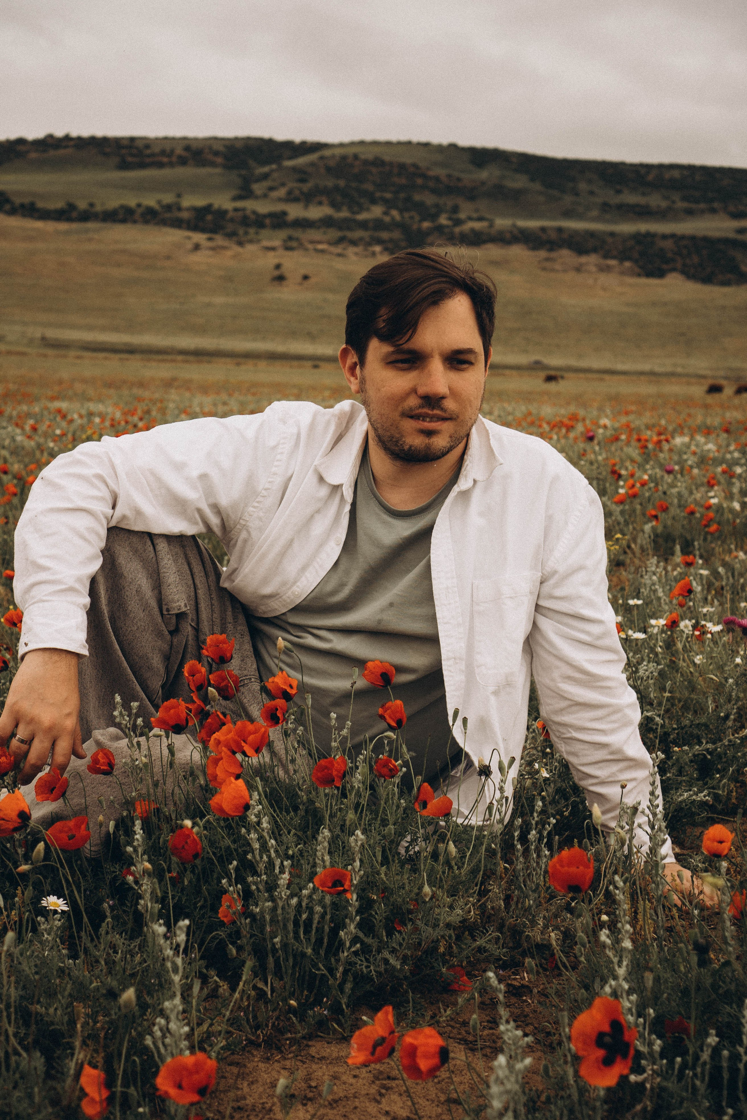 Маки. Профессиональный фотограф, Санкт-Петербург — Виктория Богомолова