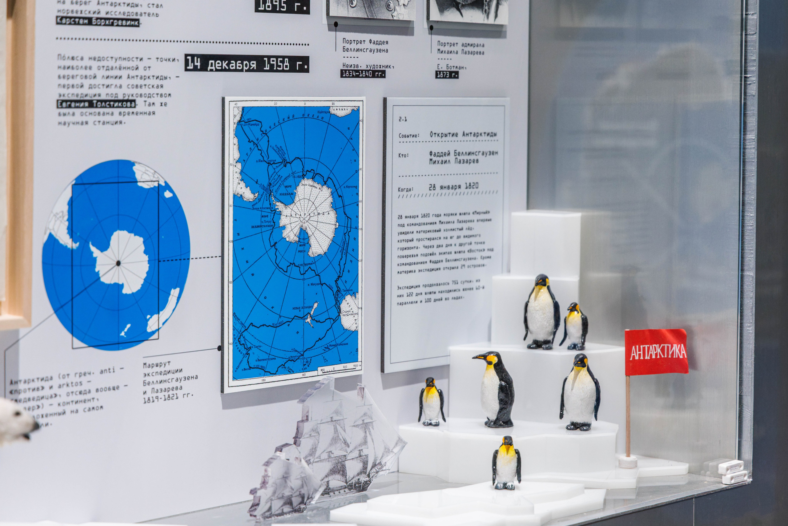 Лед. Жизнь — познавательно-развлекательная выставка. Фотограф Балаев Михаил