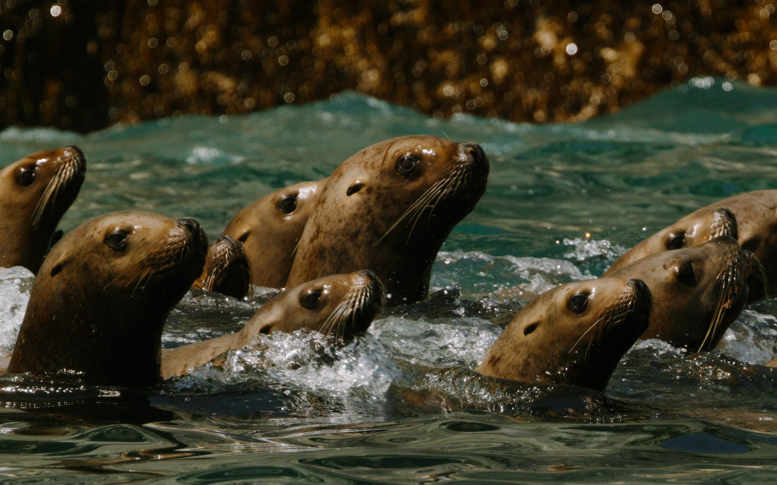 Путешествие на Камчатку. Alexey Shabanov photography