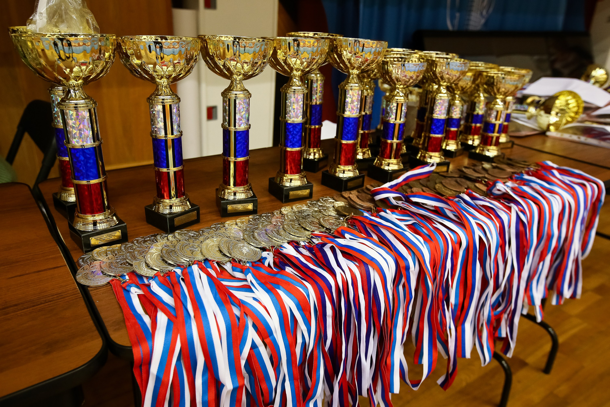 ЧЕМПИОНАТ И ПЕРВЕНСТВО ЧЕЛЯБИНСКОЙ ОБЛАСТИ ПО ЧИР СПОРТУ — 2023 г