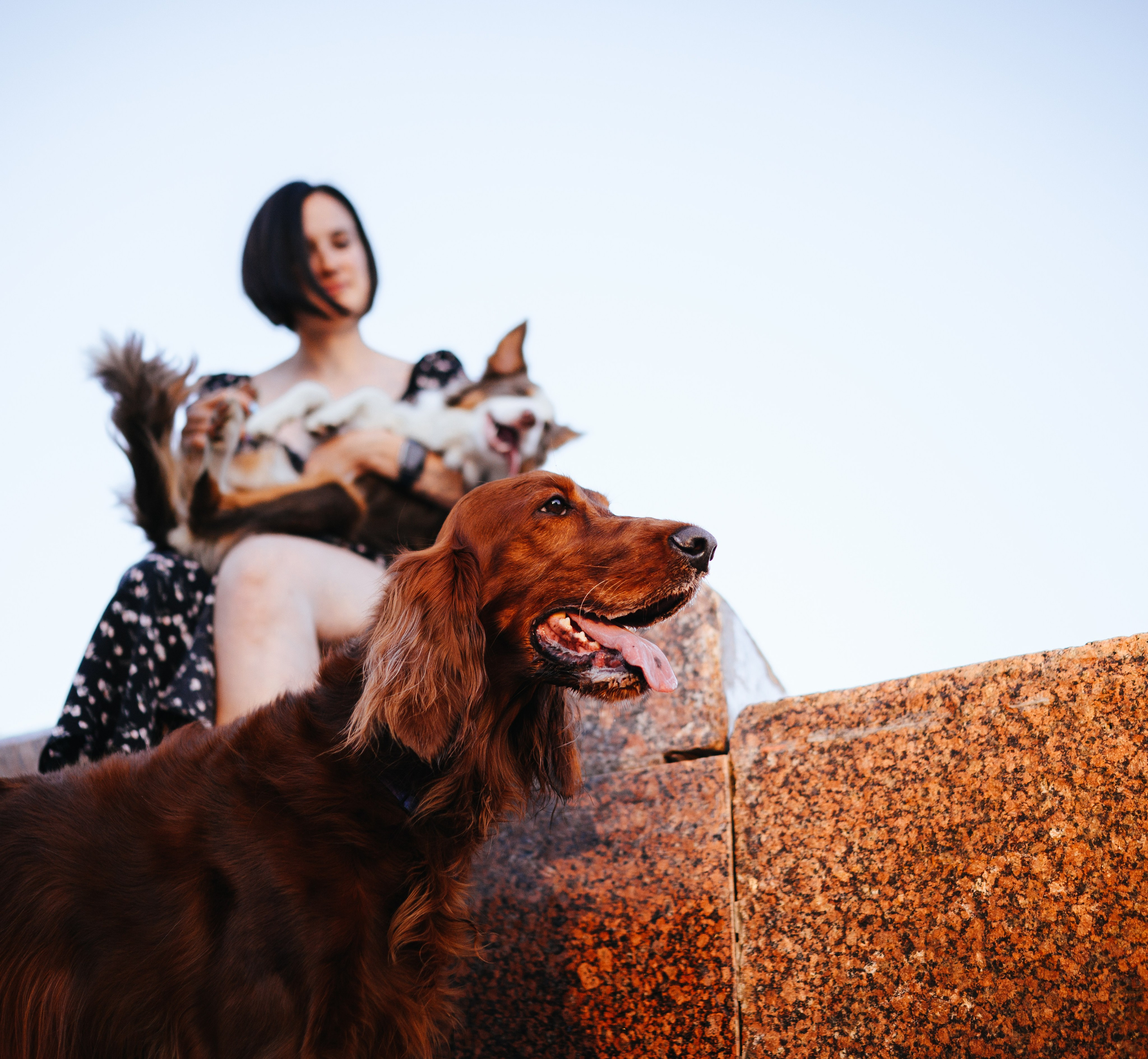 Маша, Лика, Нао и Рафта. Семейный фотограф анималист Ананьева Мария — Москва