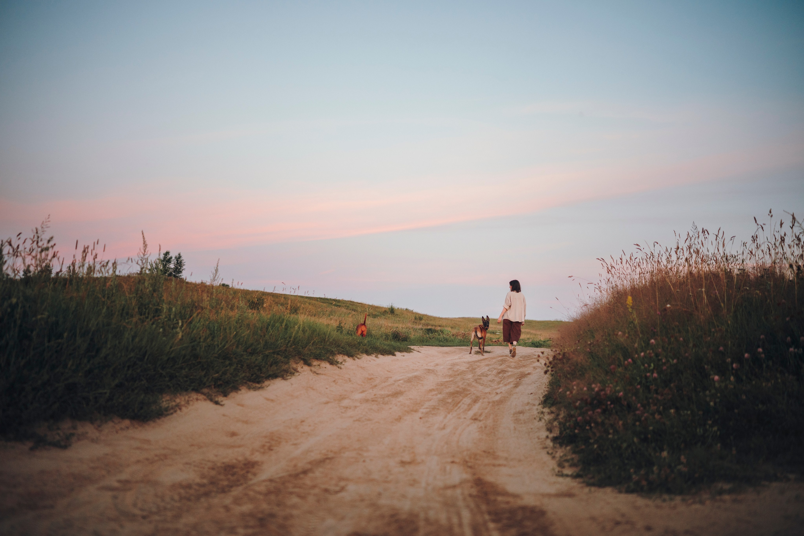 Маша, Трисс и Эста. Семейный фотограф анималист Ананьева Мария — Москва