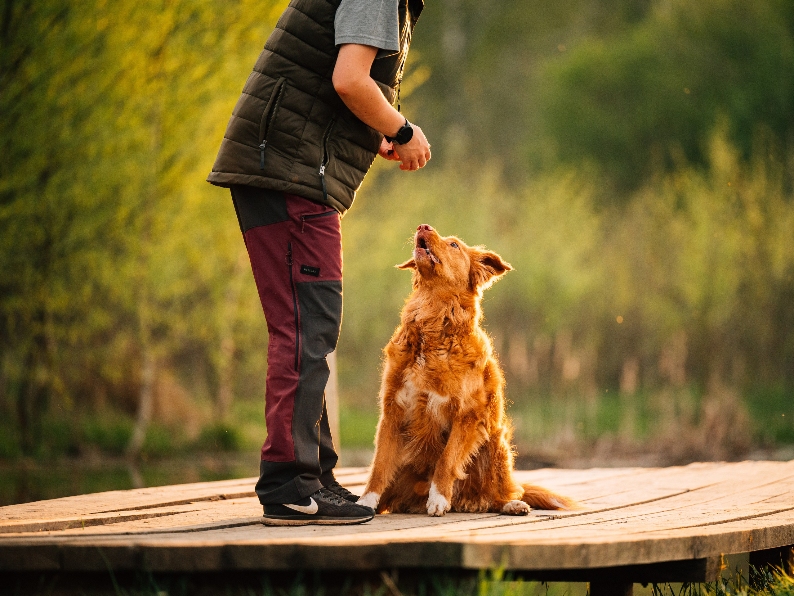 Алия, Ирвин и Грут. Семейный фотограф анималист Ананьева Мария — Москва