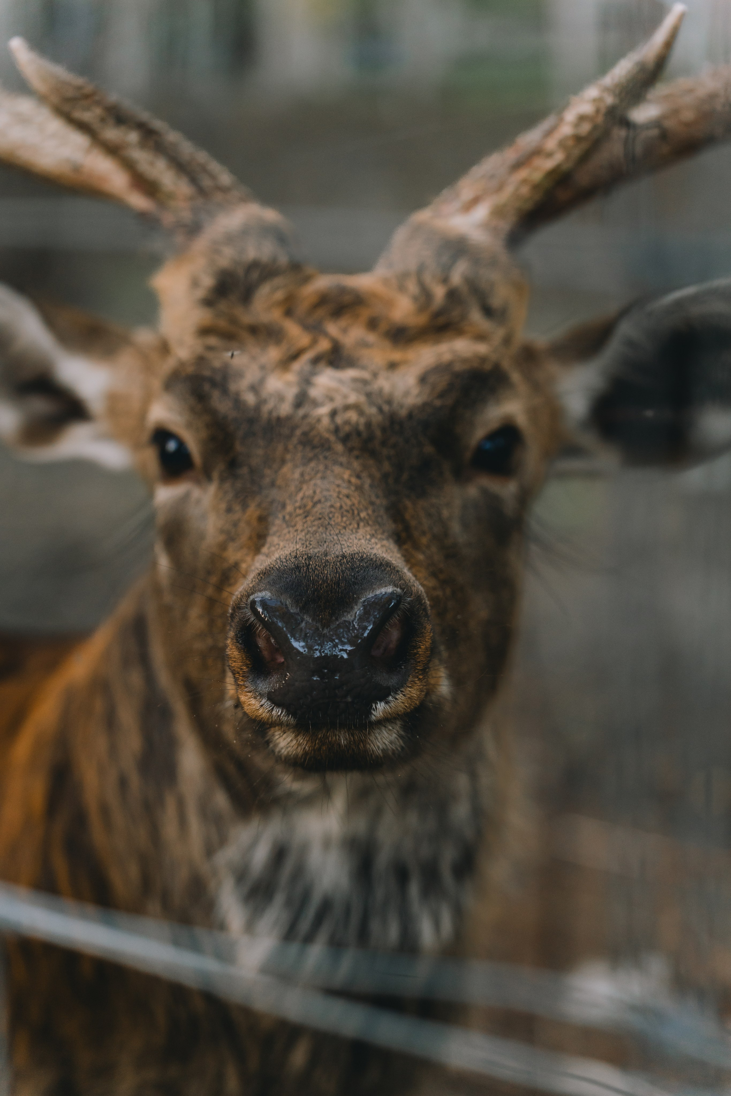 Усть-Каменогорск, Сентябрь 2024