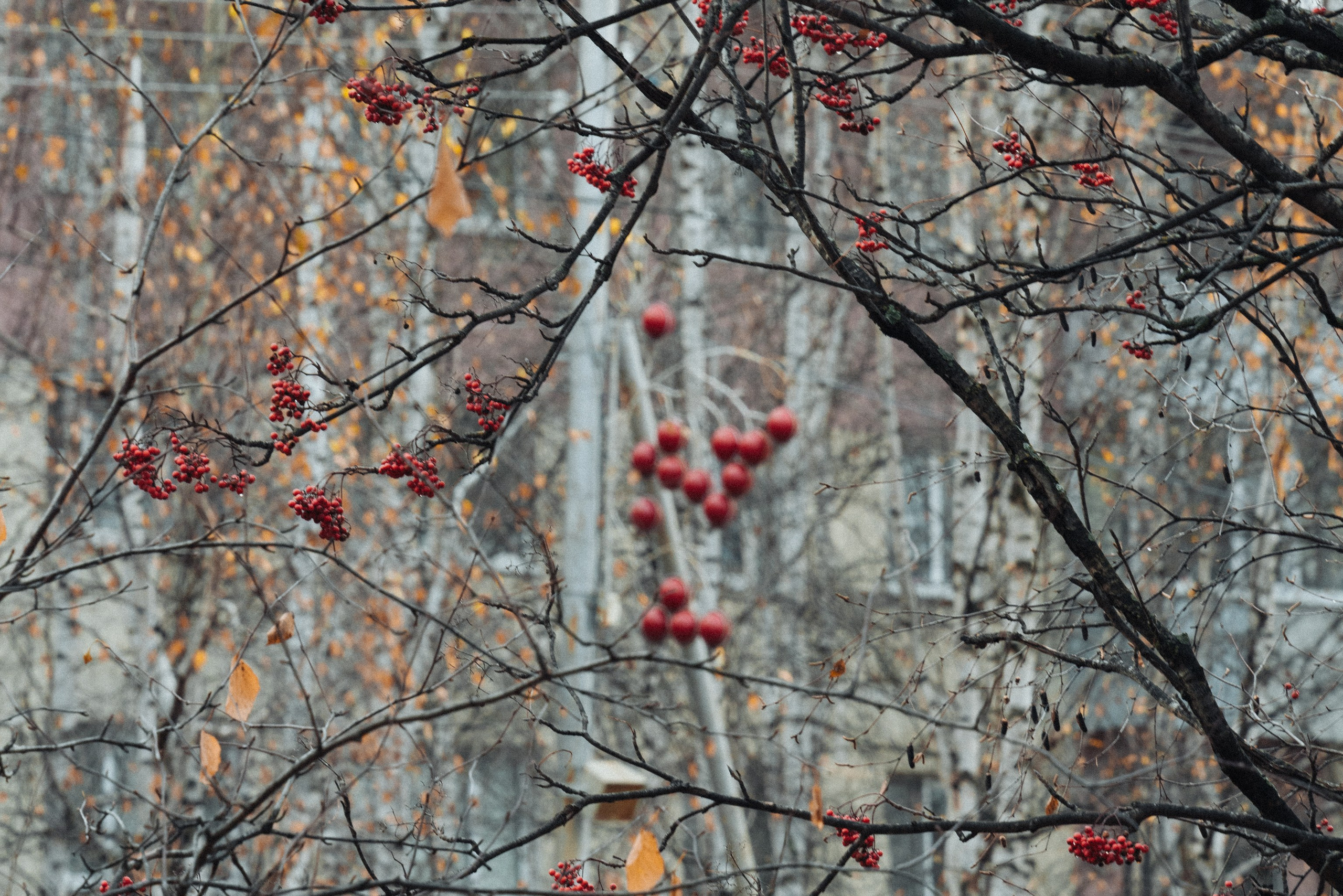 Нижневартовск, Октябрь 2024