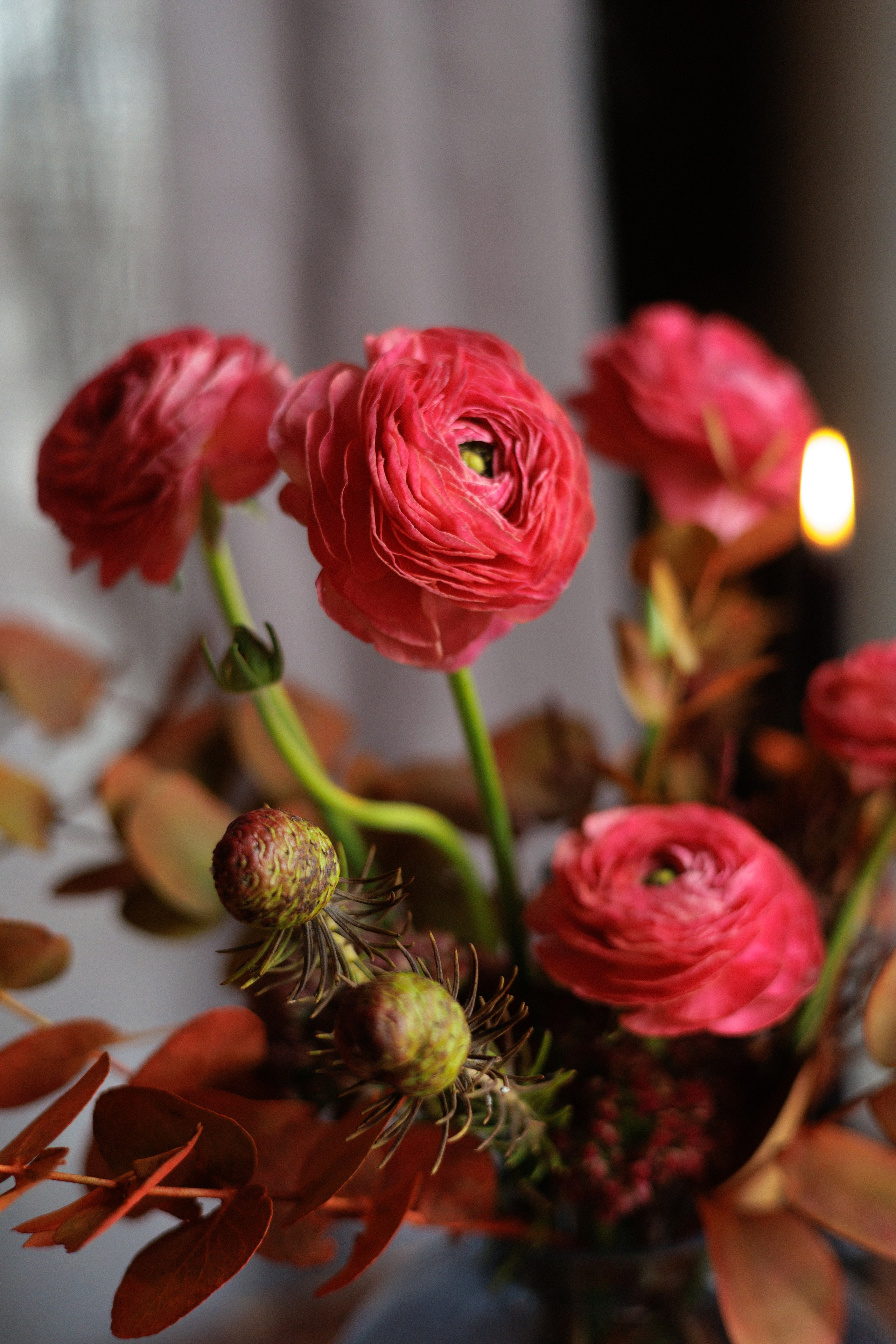 Pole buro |flowers. Орлова Мария фотограф Волгоград, Камышин