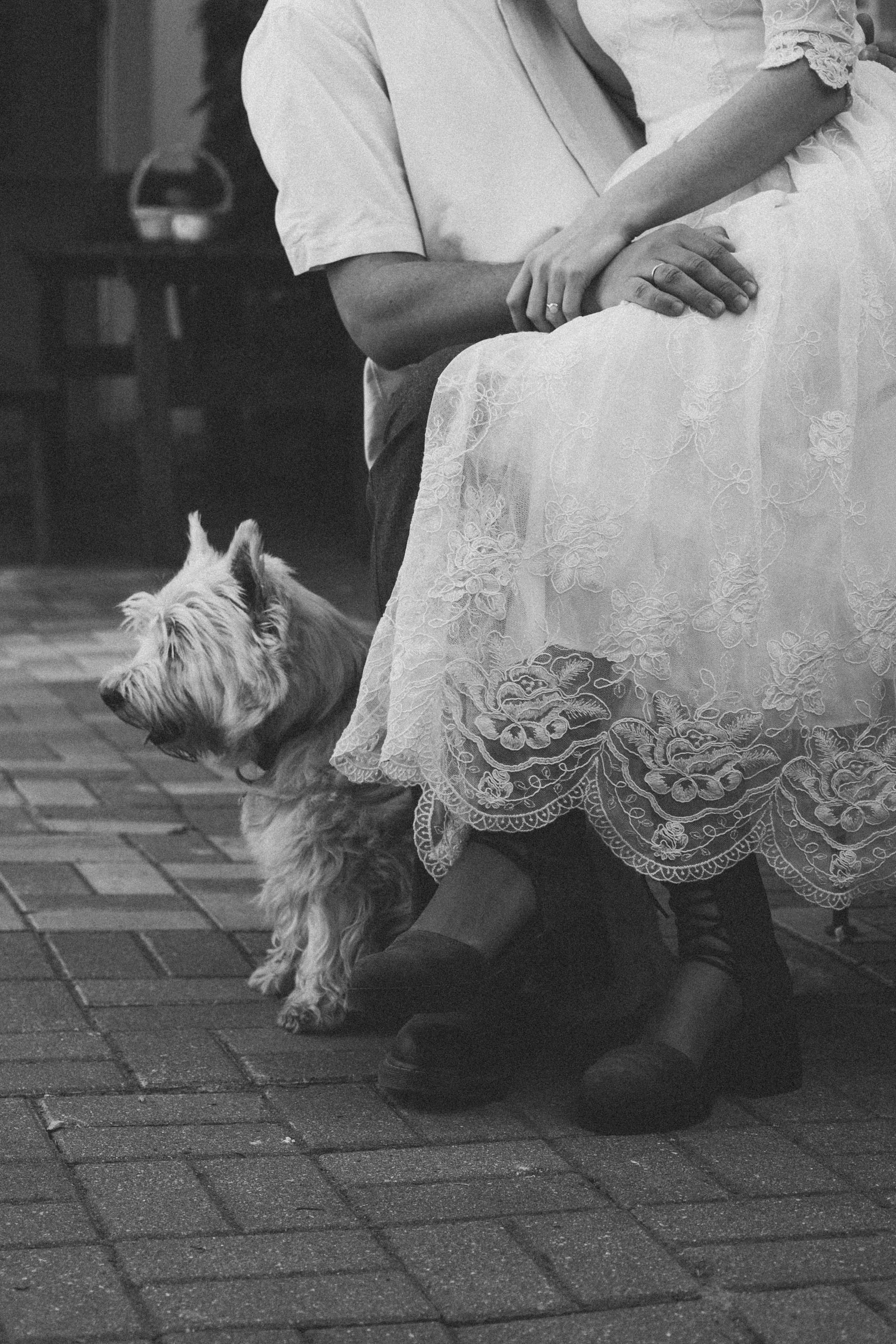 Юрий и Анастасия. Фотограф/ видеограф Катя Ильина Калуга