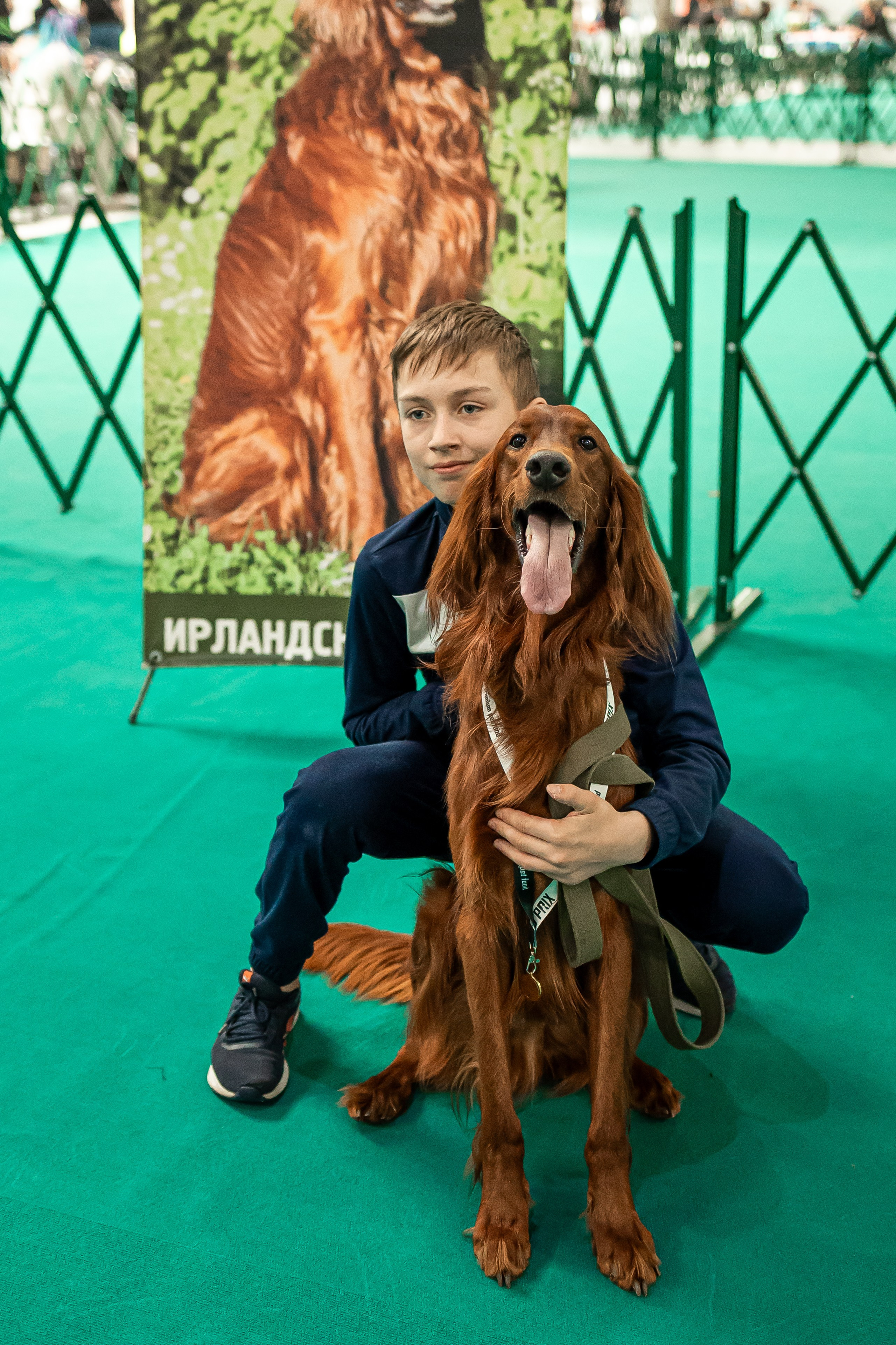 Выставка сеттеров 19.05.24