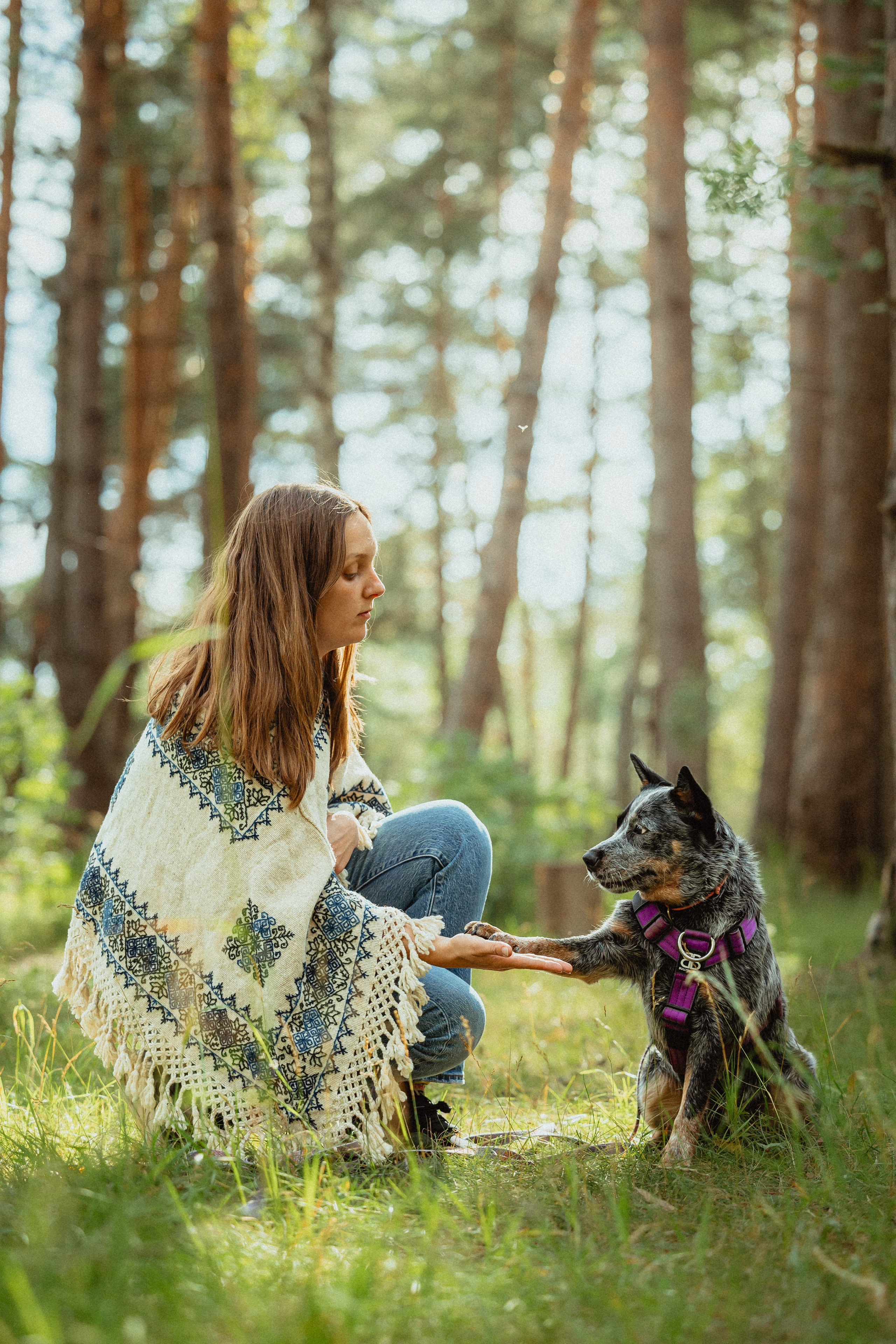 Выездной дог-тренинг от школы «Шерсть имею»