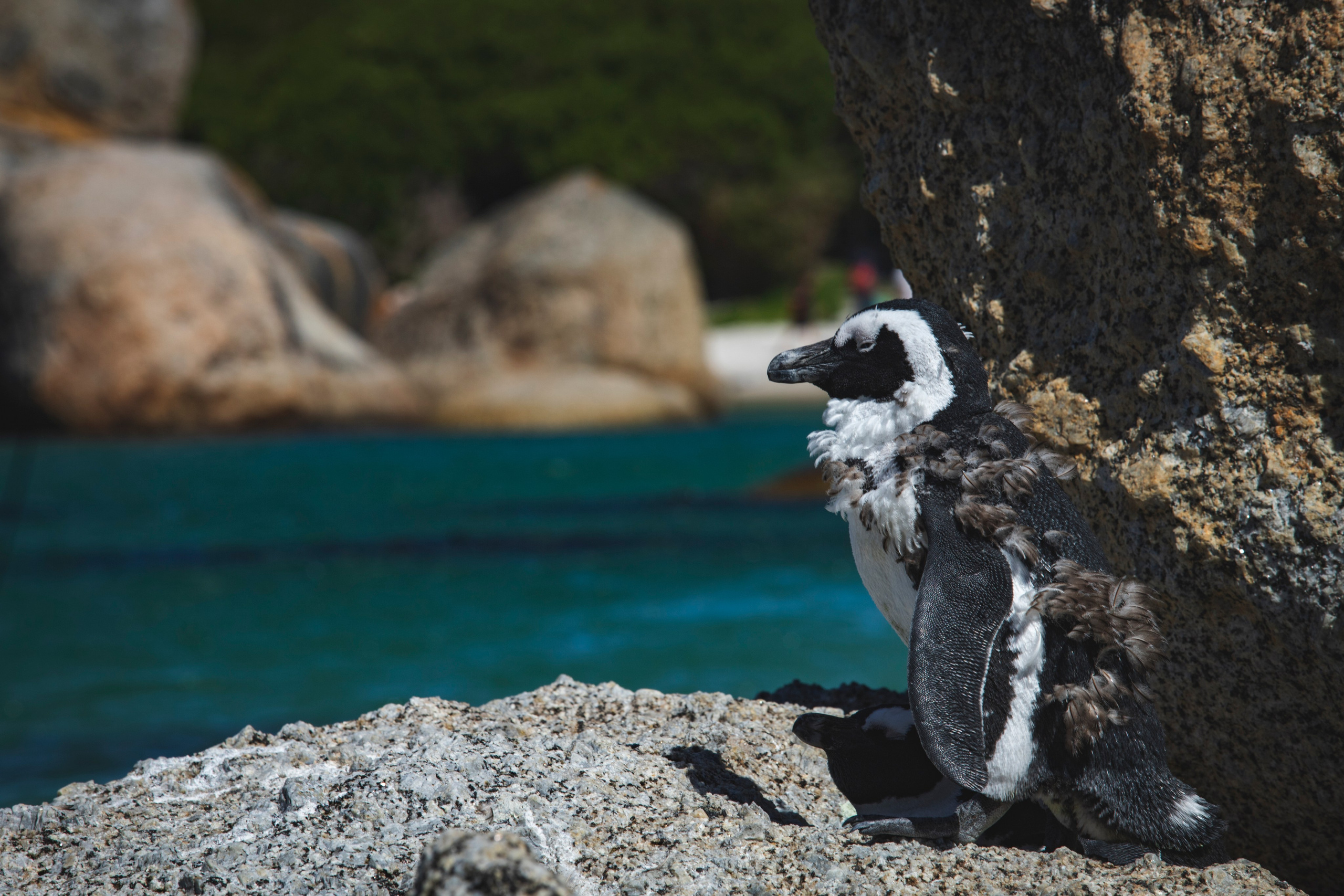 Фотограф Москва, Сергиев Посад