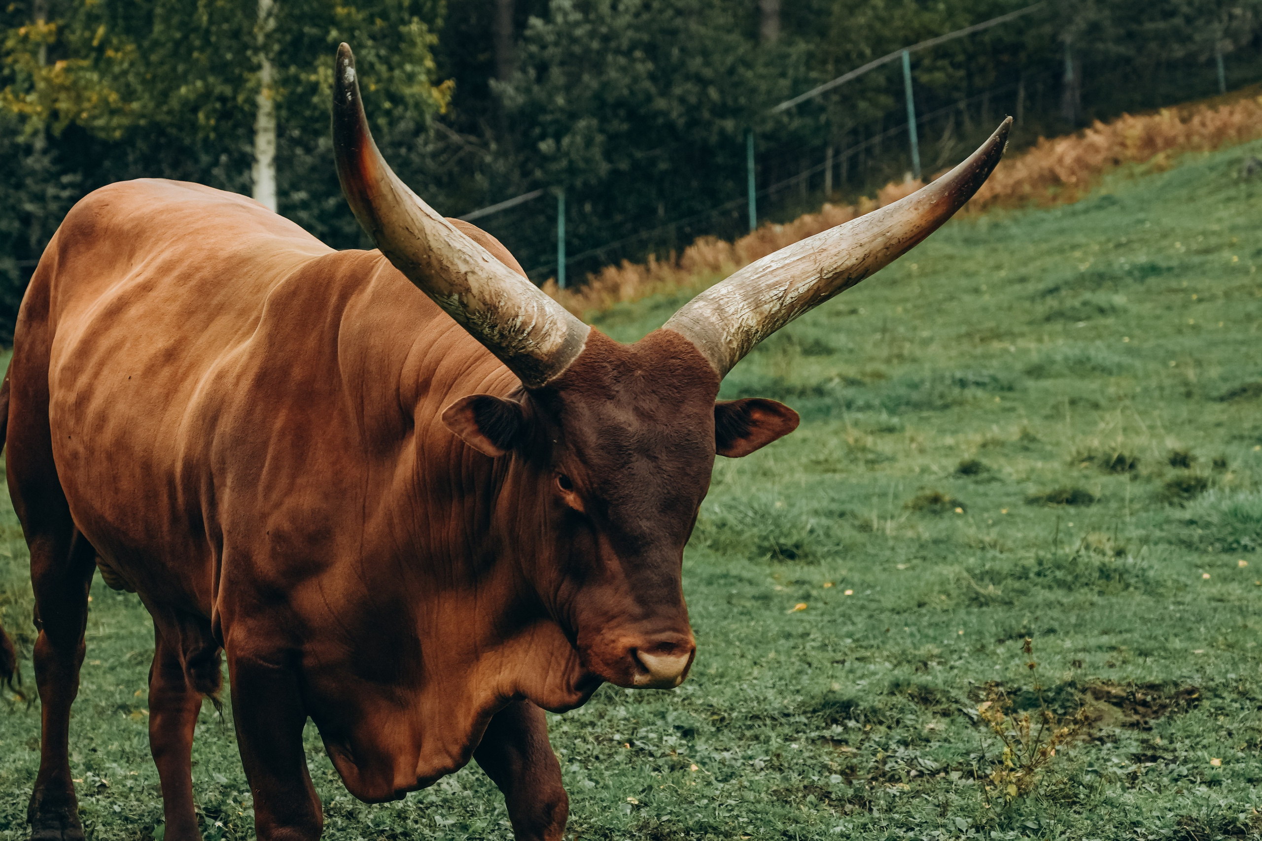 СЕВЕР. Event фотограф Степанова Александра