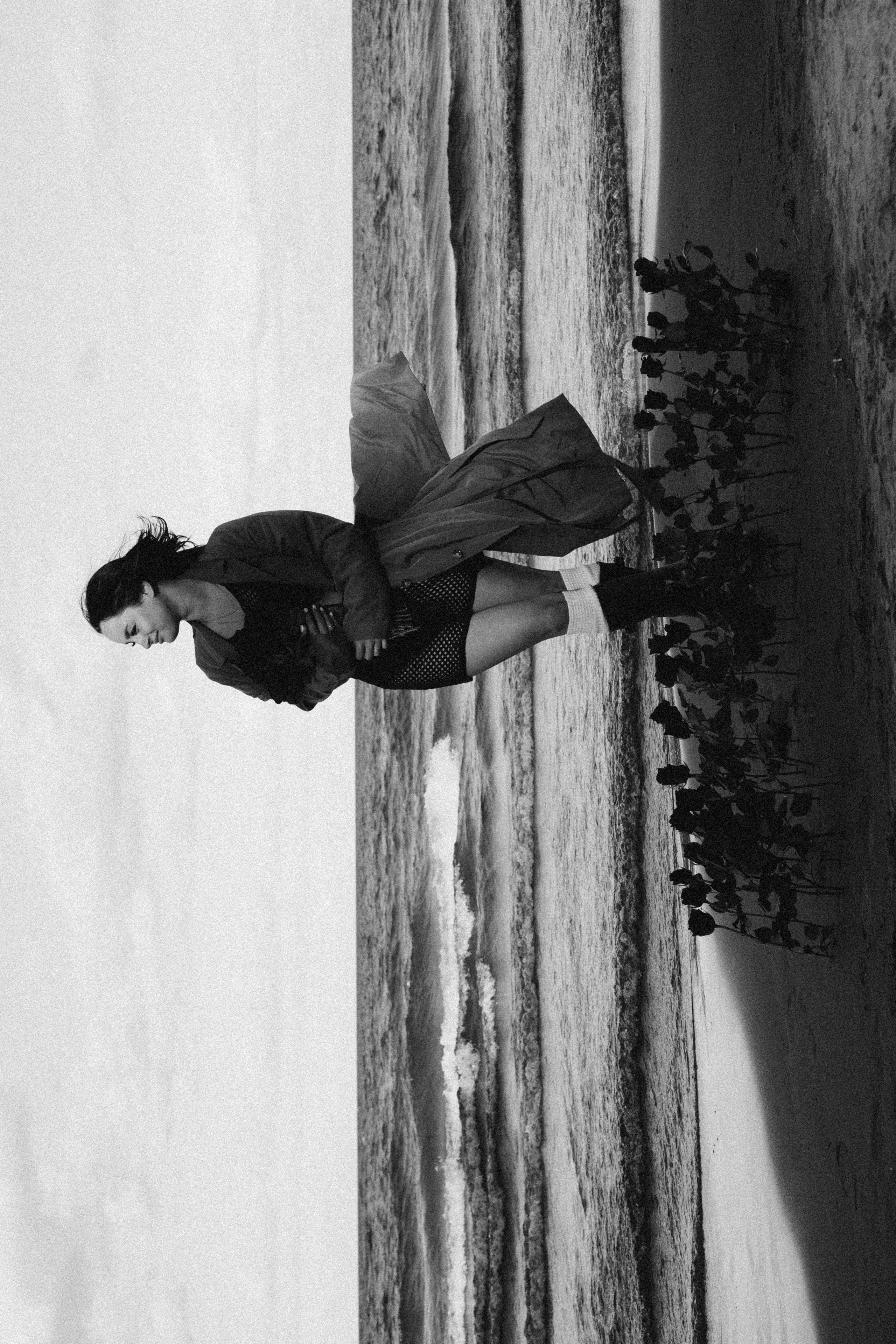 Розы. Профессиональный фотограф, Санкт-Петербург — Виктория Богомолова