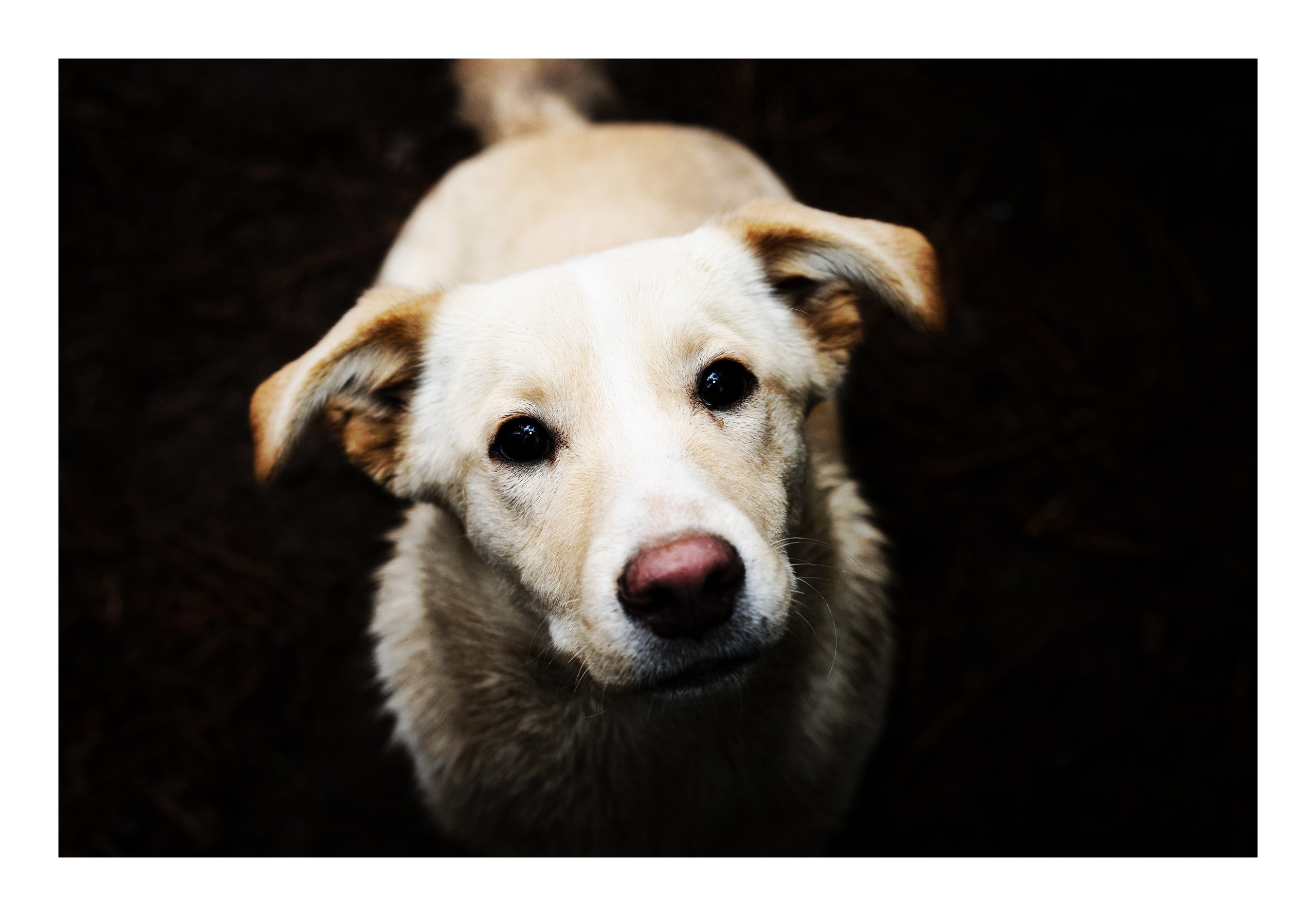 Фотопринты А3. Фотопроект «Территории»