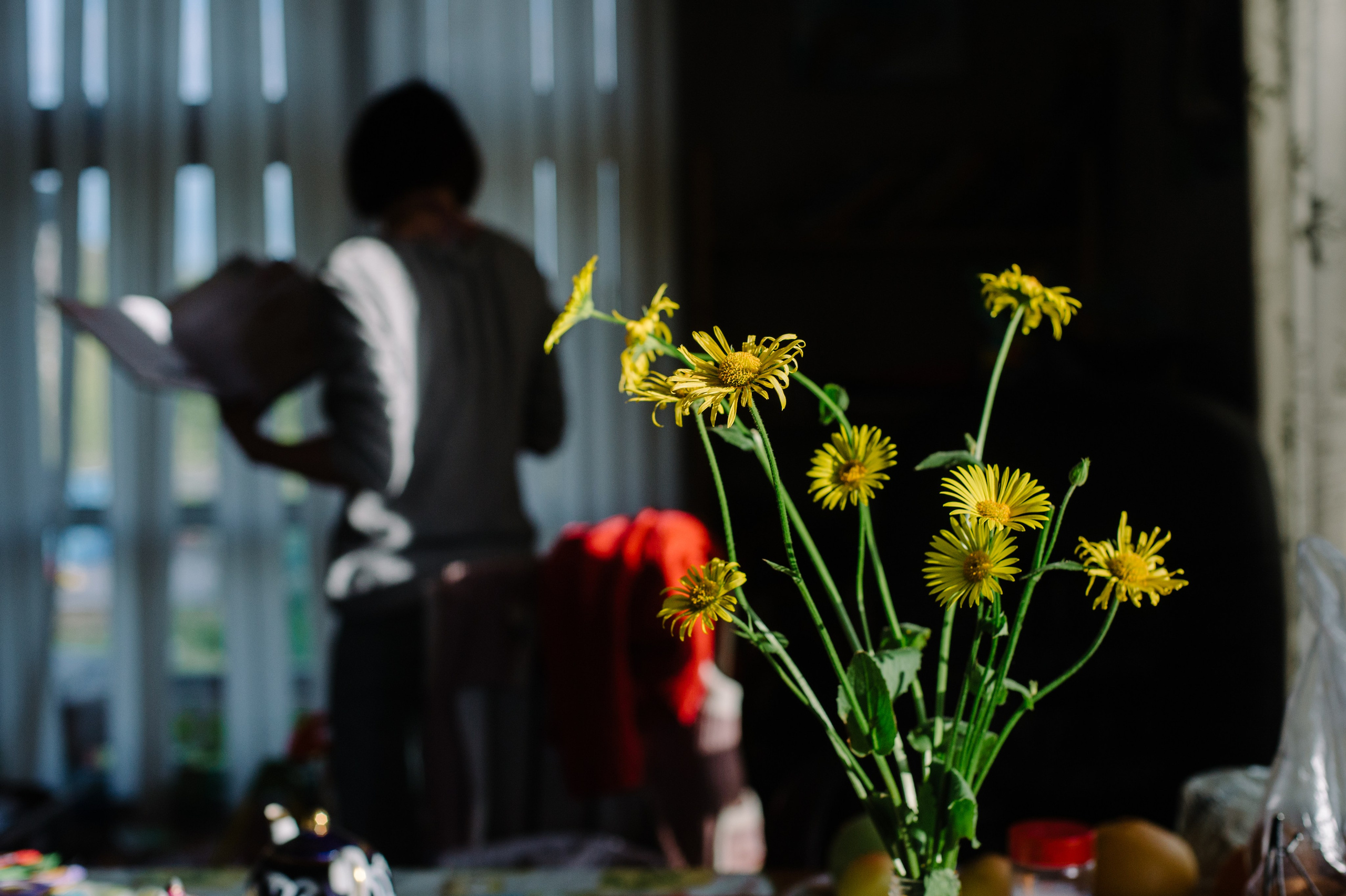 Дачная жизнь. Фотограф Алиса Калинина