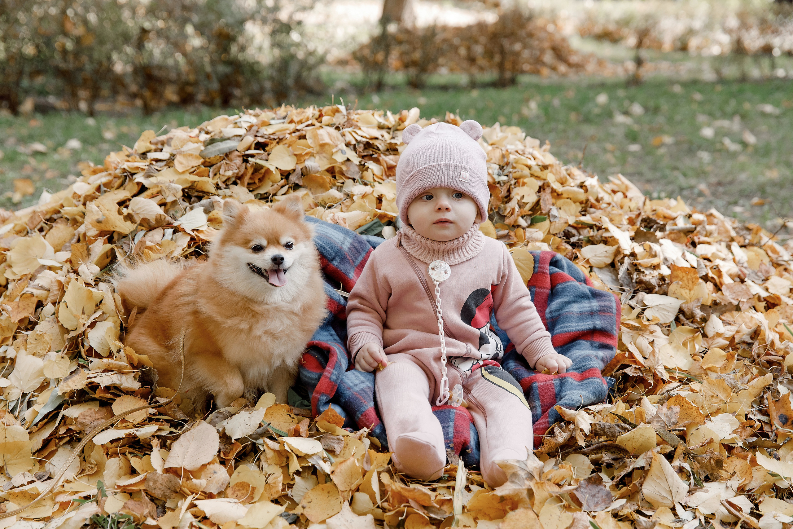 Фотосессии. Святослав Дьяконов — фотограф на свадьбу в Воронеже