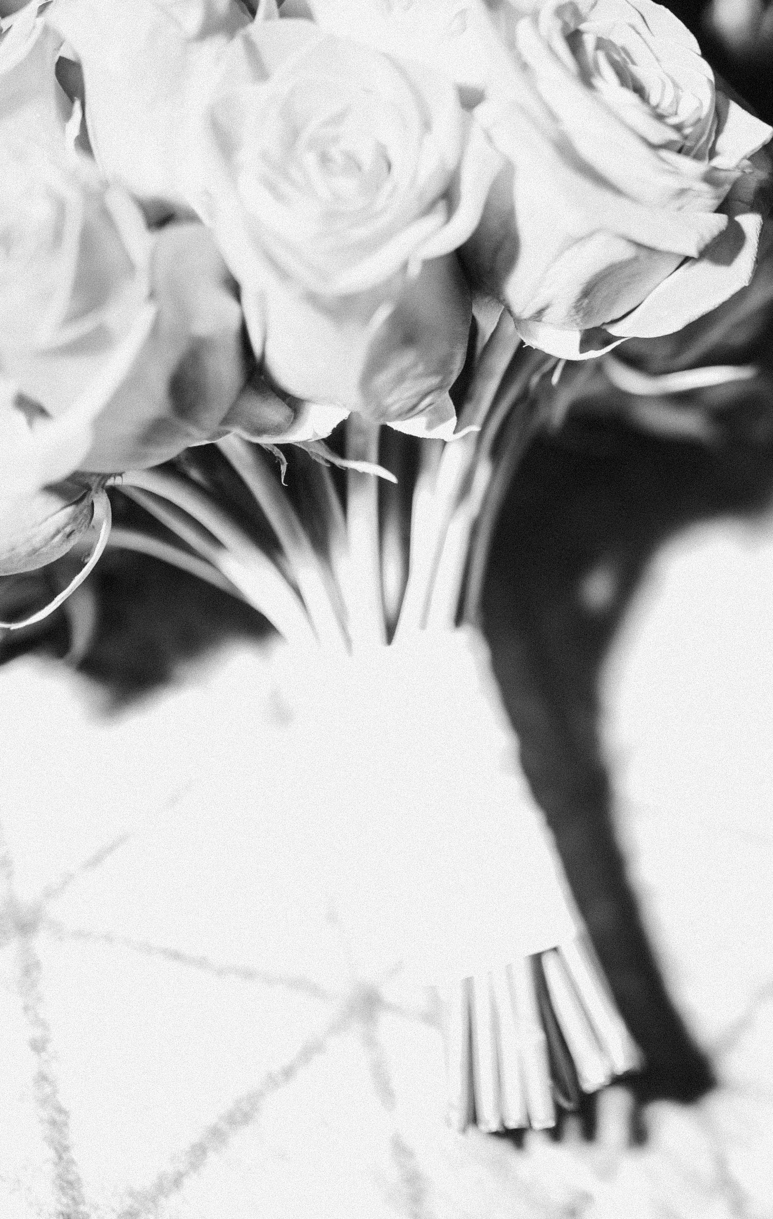 Розы и любовь. Творческий фотограф Аня Волк