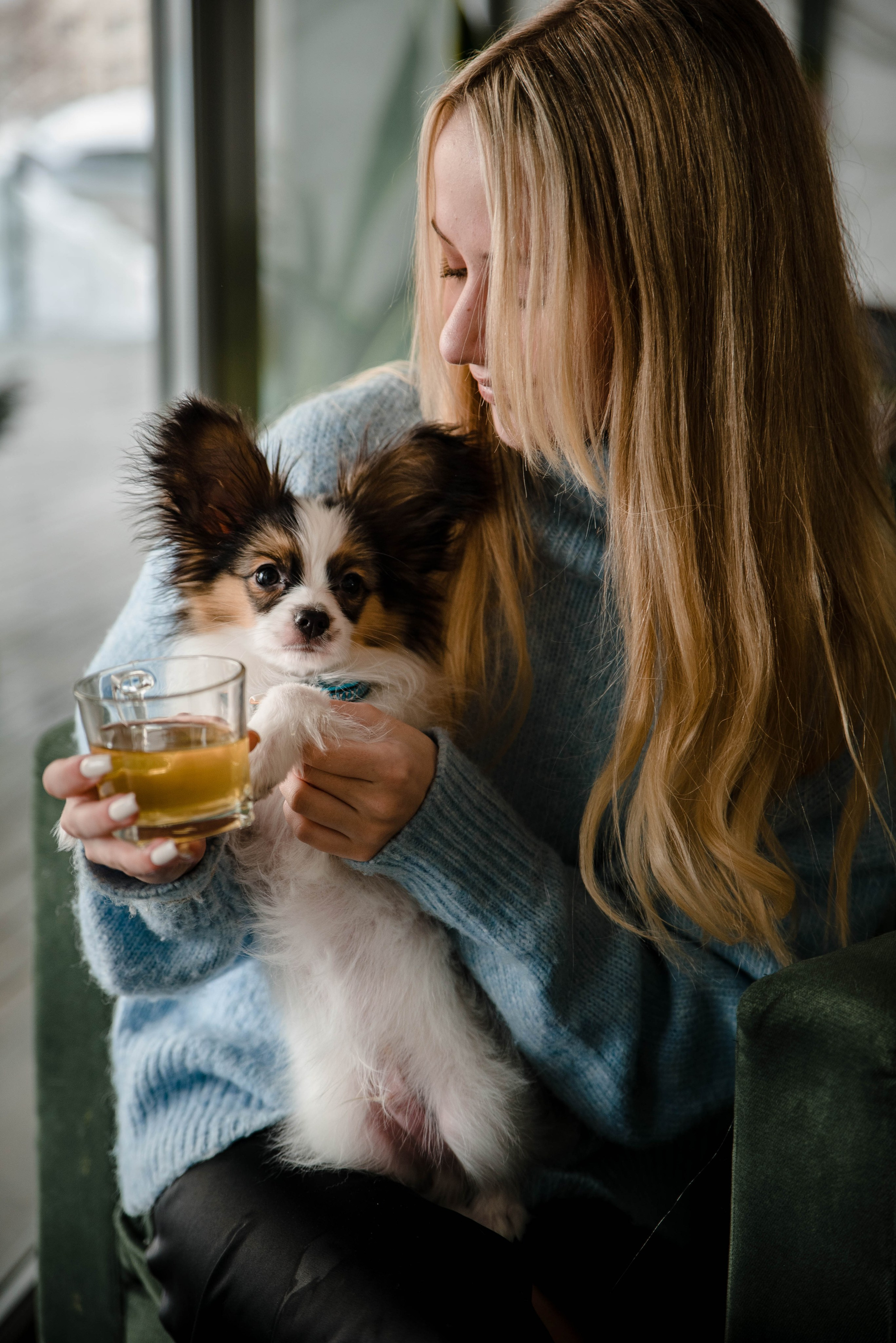 Настя, Света и Папийон Луней. Главная