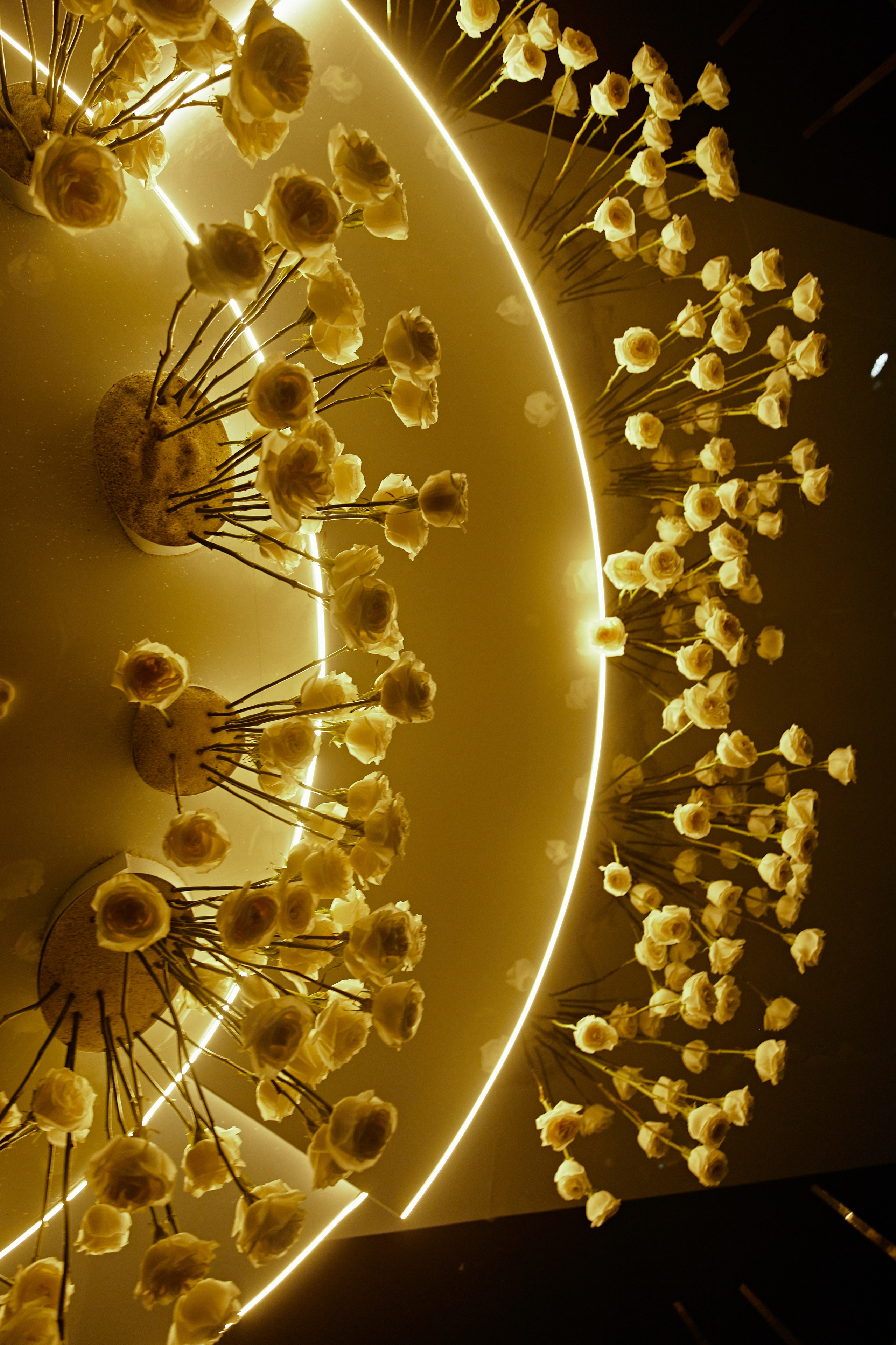 A MIRROR IS ONLY A HEART. Дмитрий Мазуркевич: Профессиональный Репортажный Фотограф