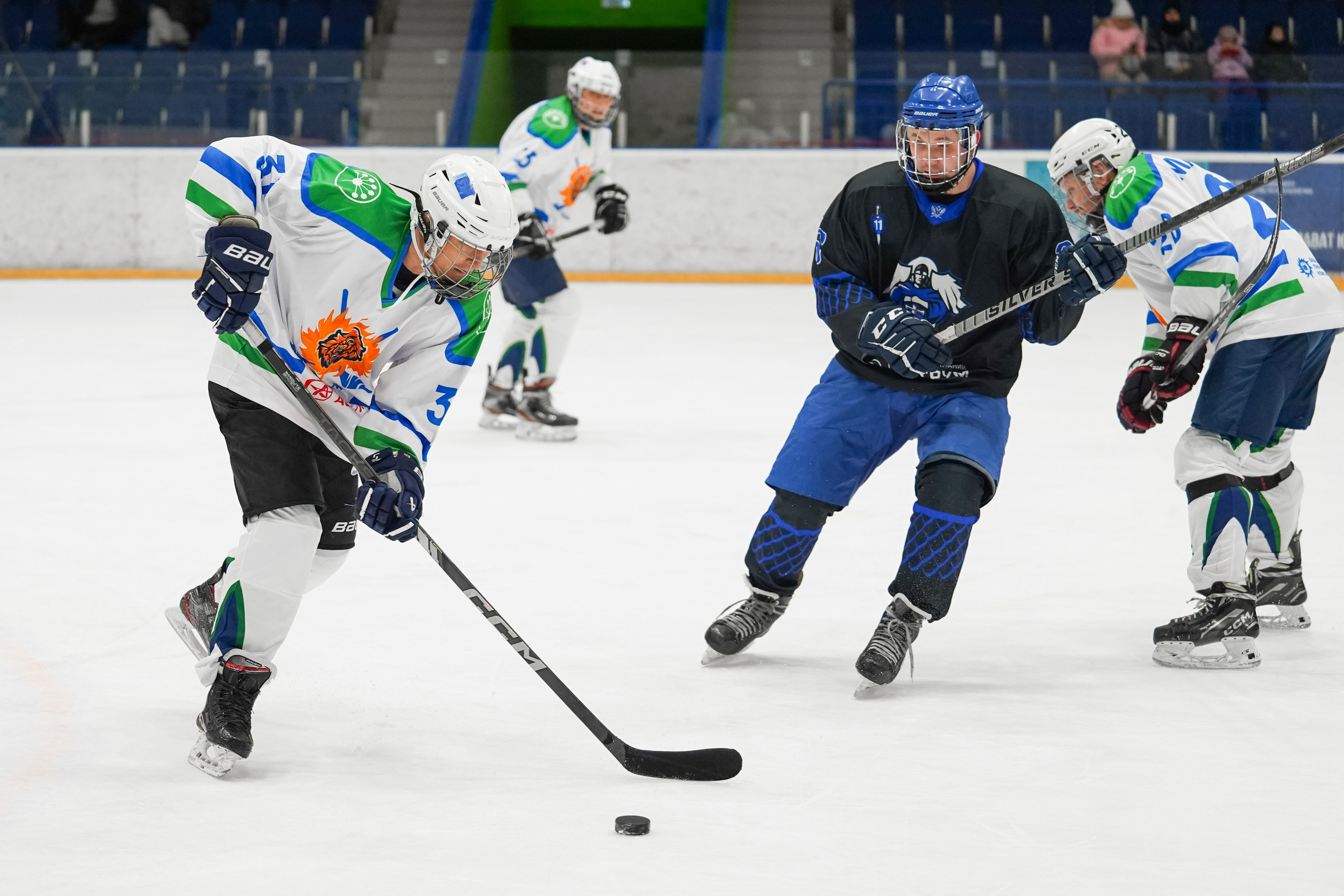 Башкирская хоккейная лига. Маслухин Дмитрий — Ваш Фотограф