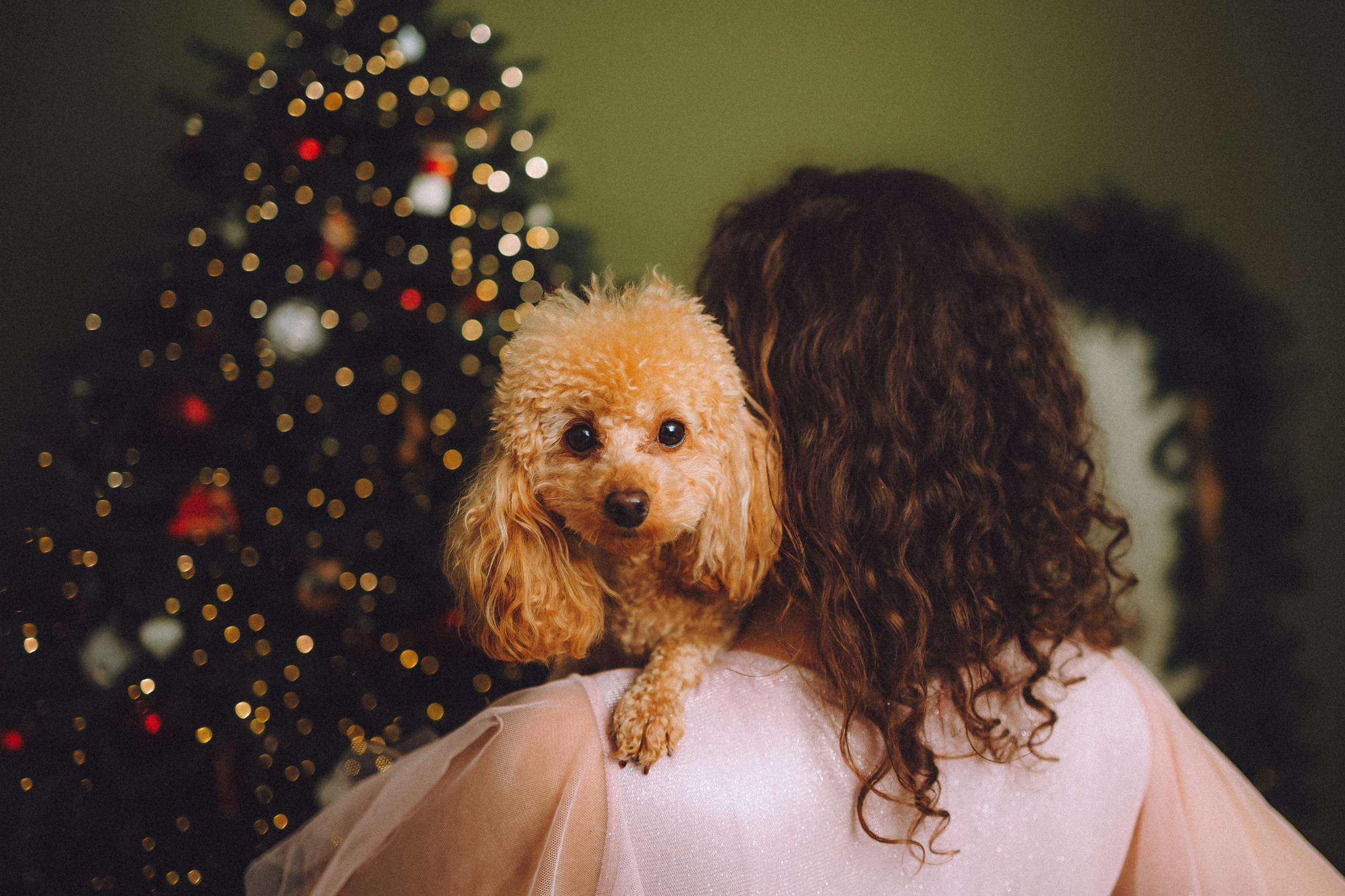 Джули, Шелли и их семья