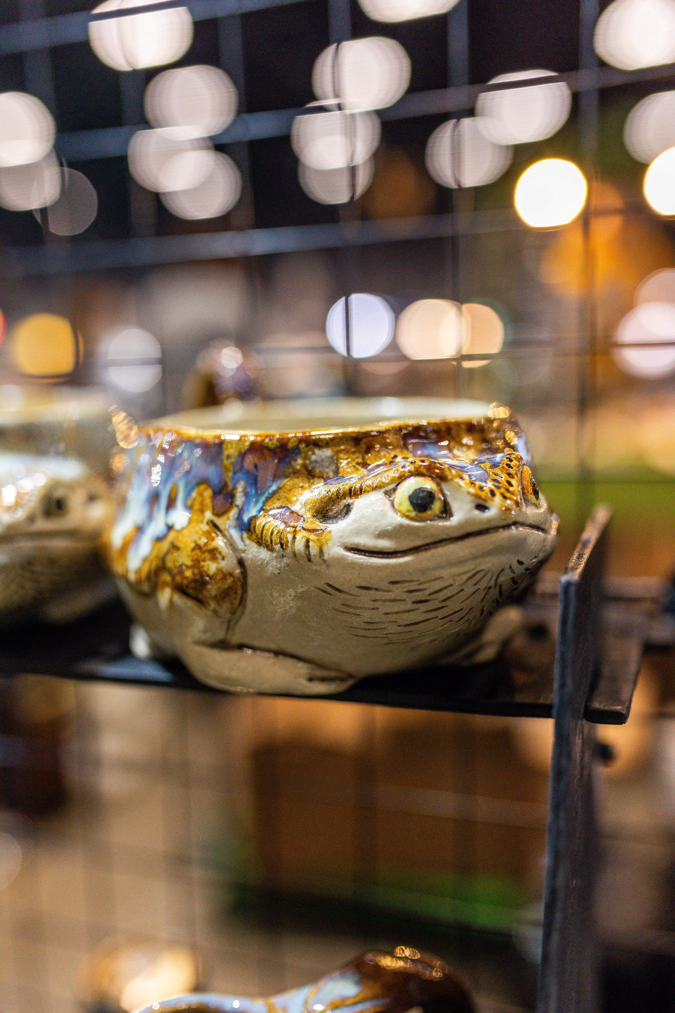 Рептилиум июнь 2025. Александра Куликова фотограф, Москва