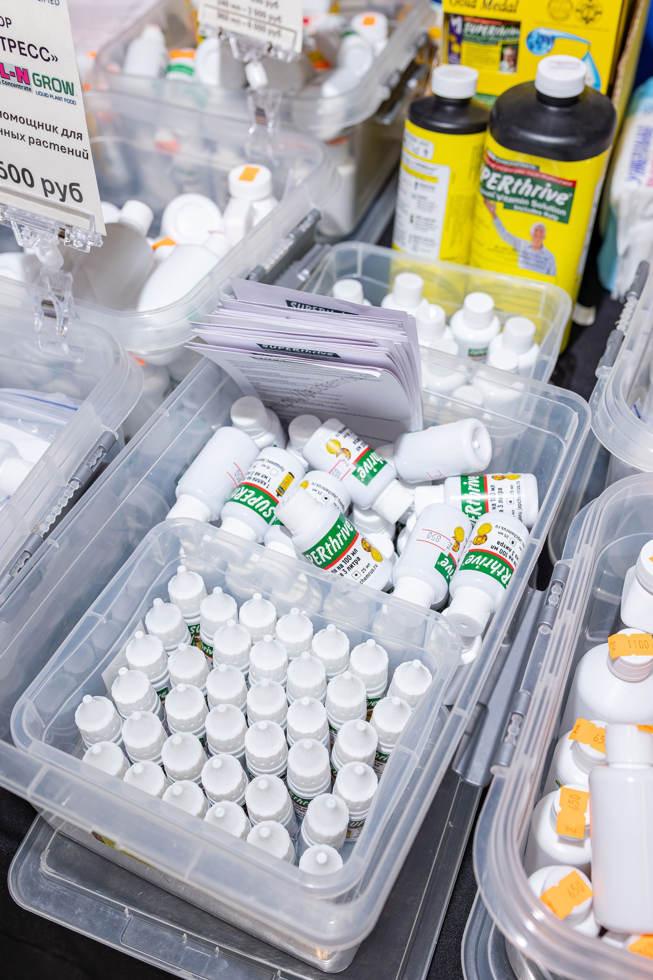 Монстериум апрель 2026. Александра Куликова фотограф, Москва