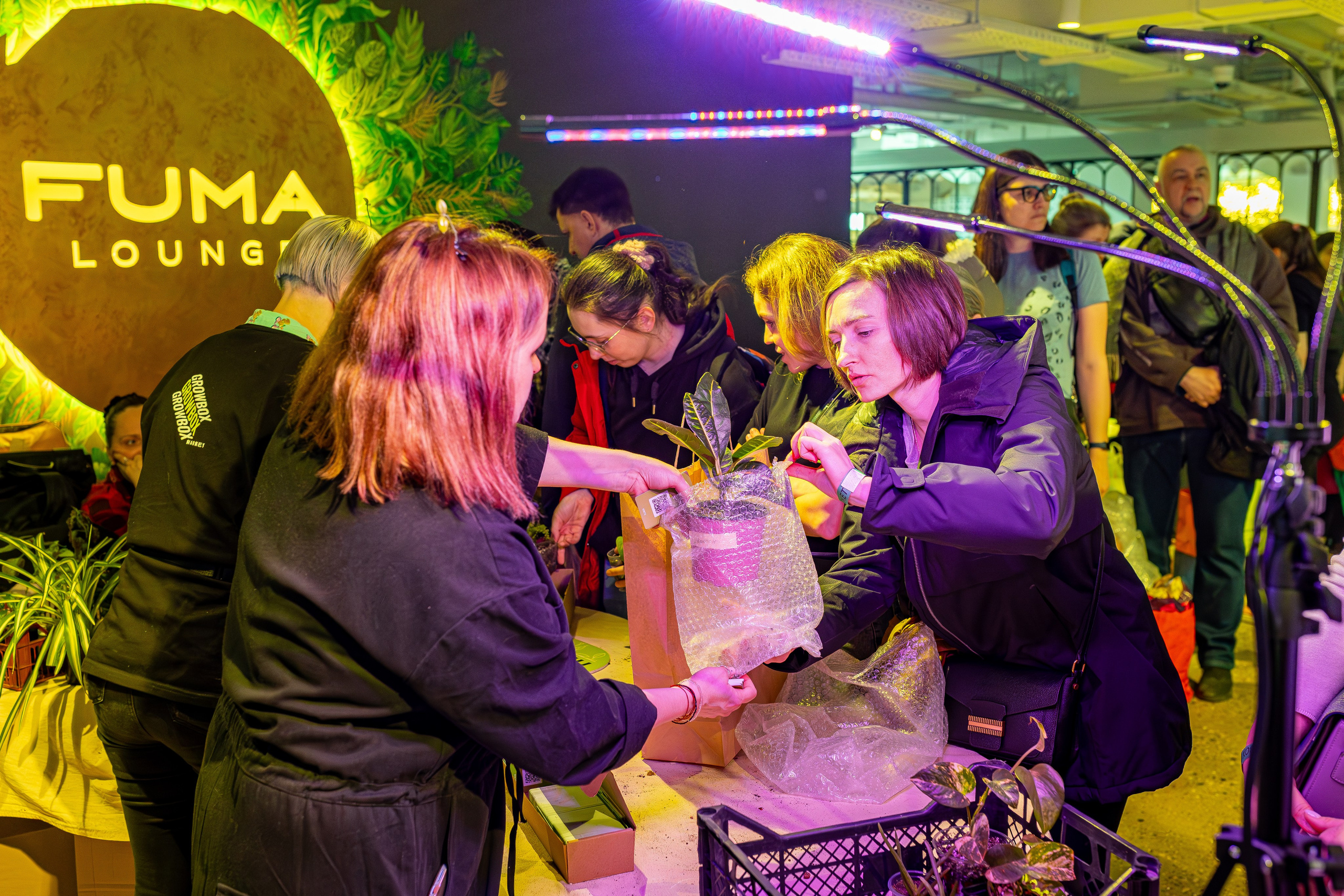 Growbox 1–2 марта. Александра Куликова фотограф, Москва