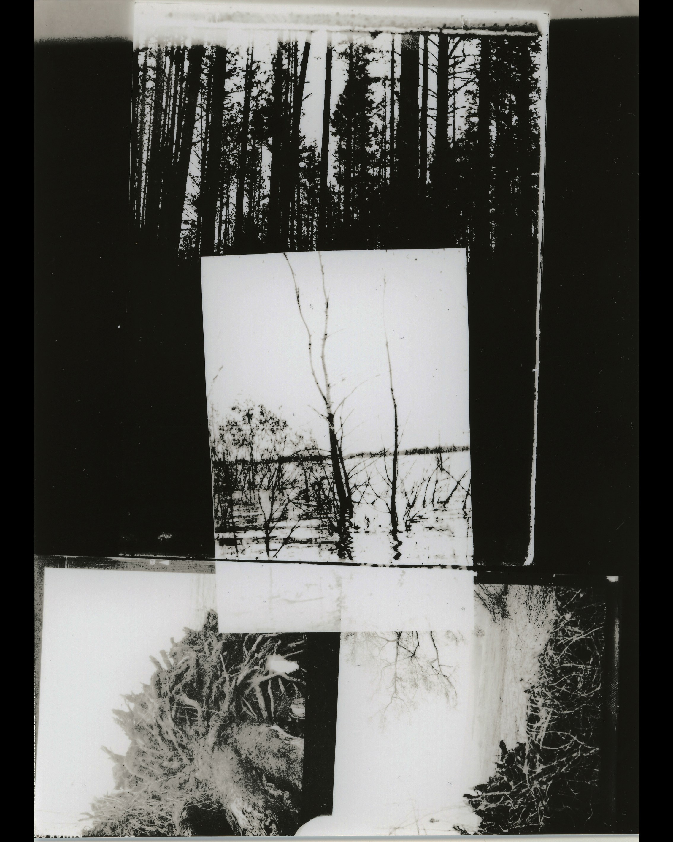 Lith prints. Darkroom aesthetics