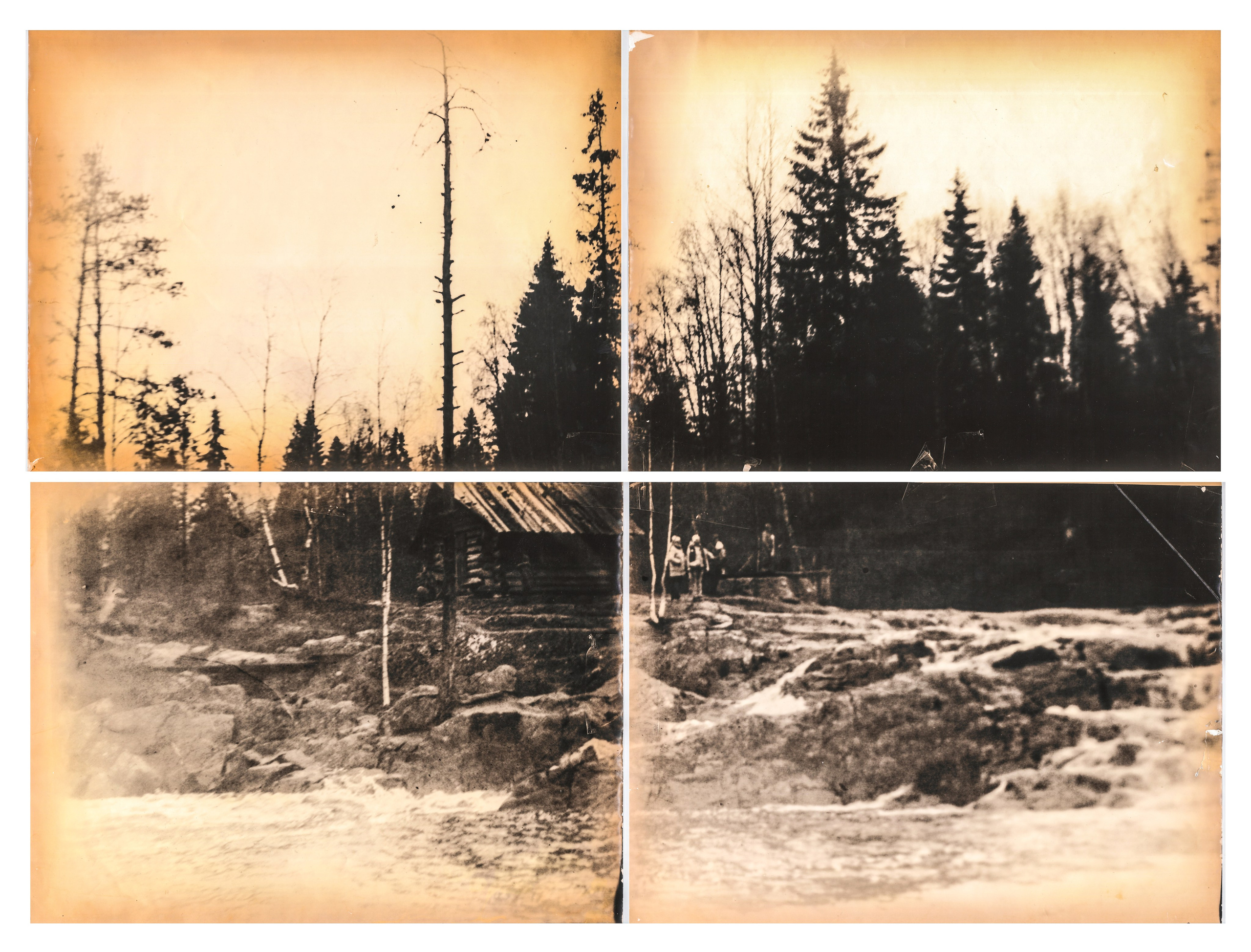 Lith prints. Darkroom aesthetics