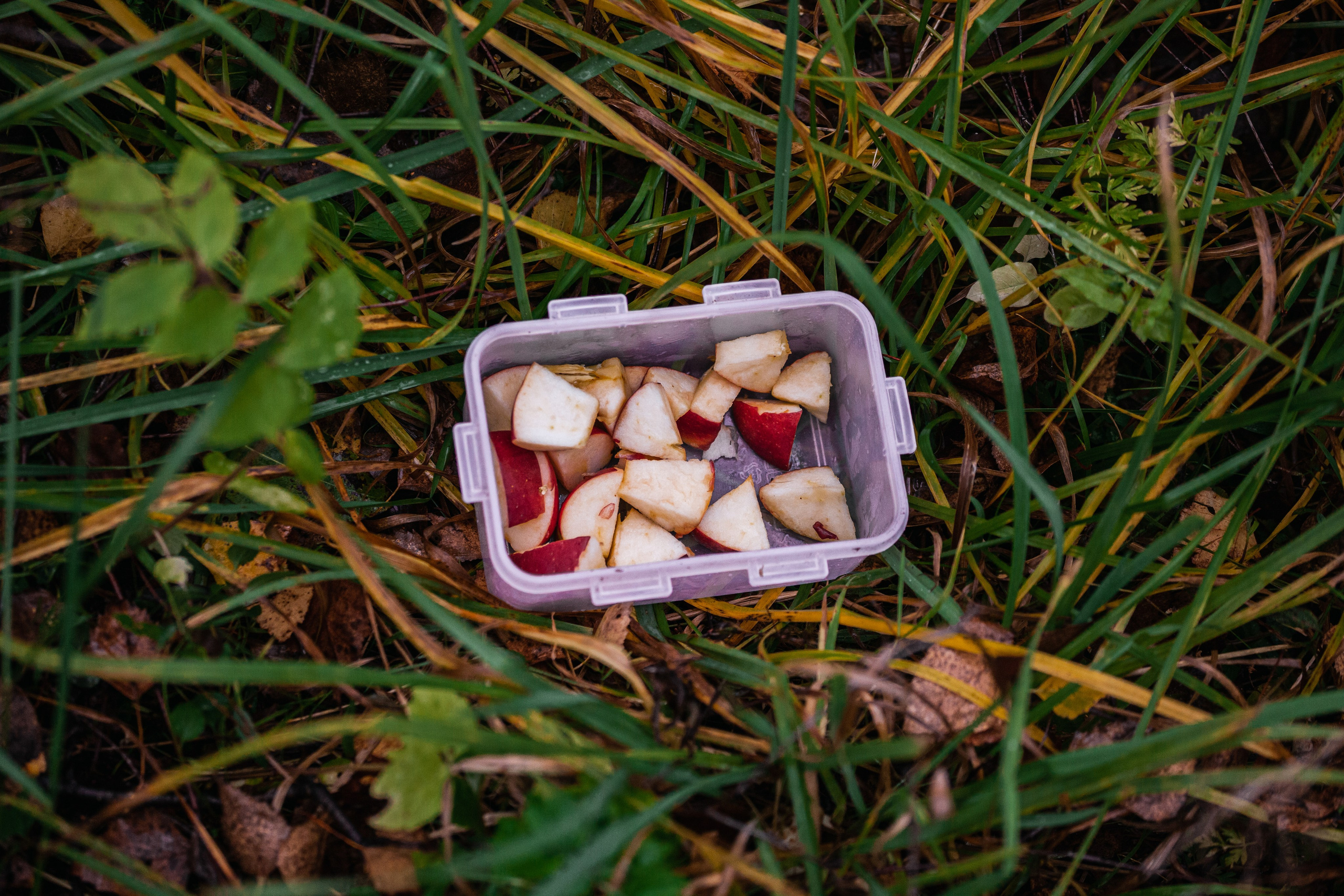 Аня и Джози. Фотограф-анималист Татьяна Степанова