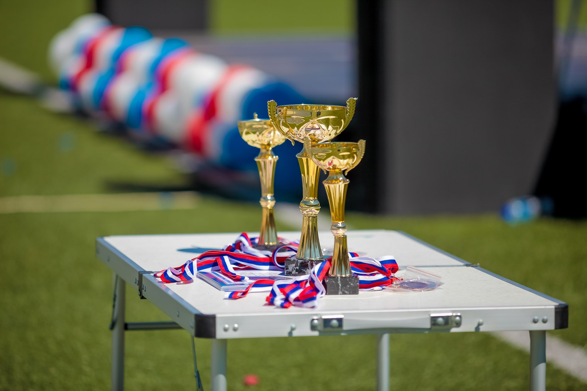 День Физкульт. Максим Матвийченко и Виктория Басова профессионалы своего дела