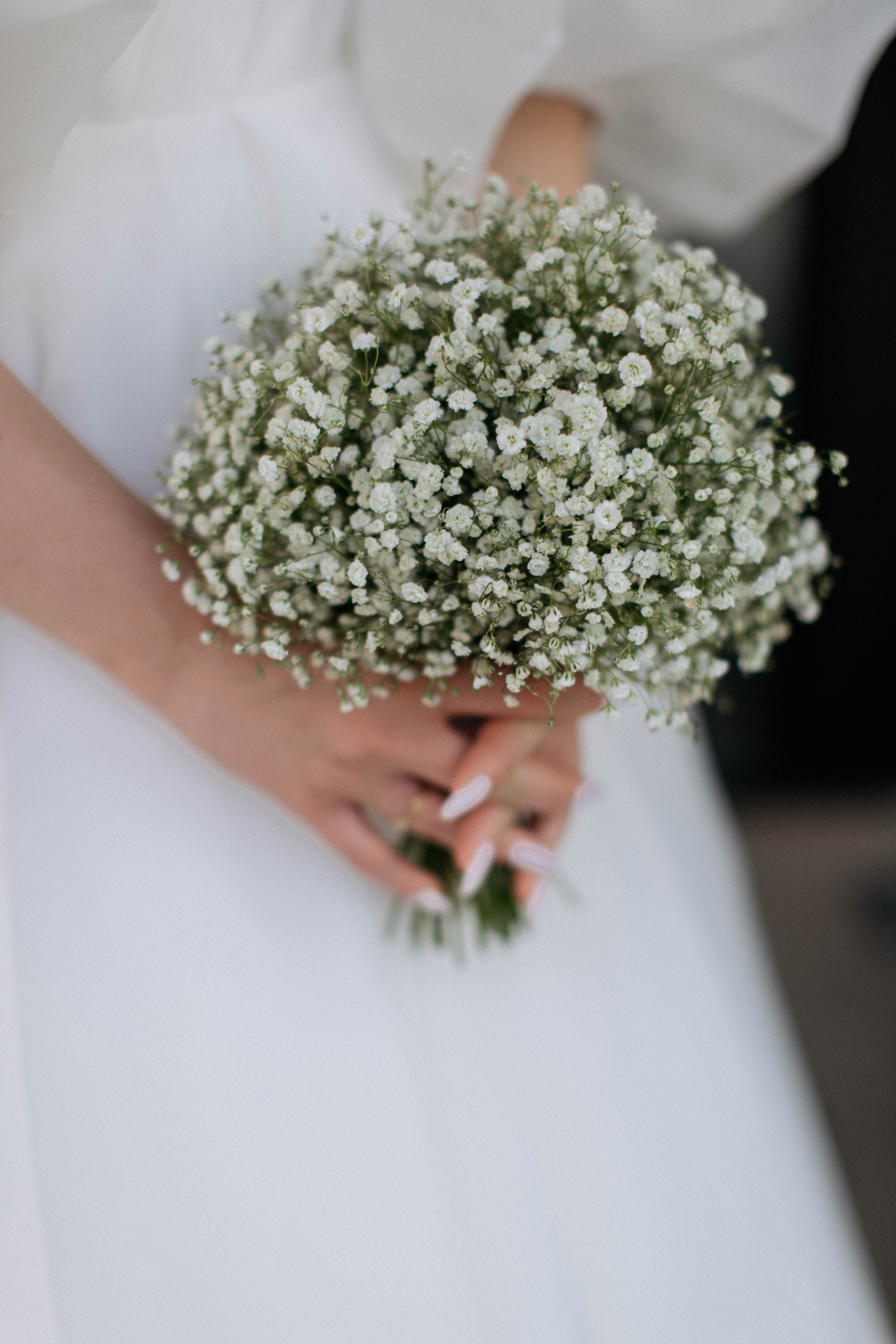 Свадьба Андрей & Елизавета. Главная