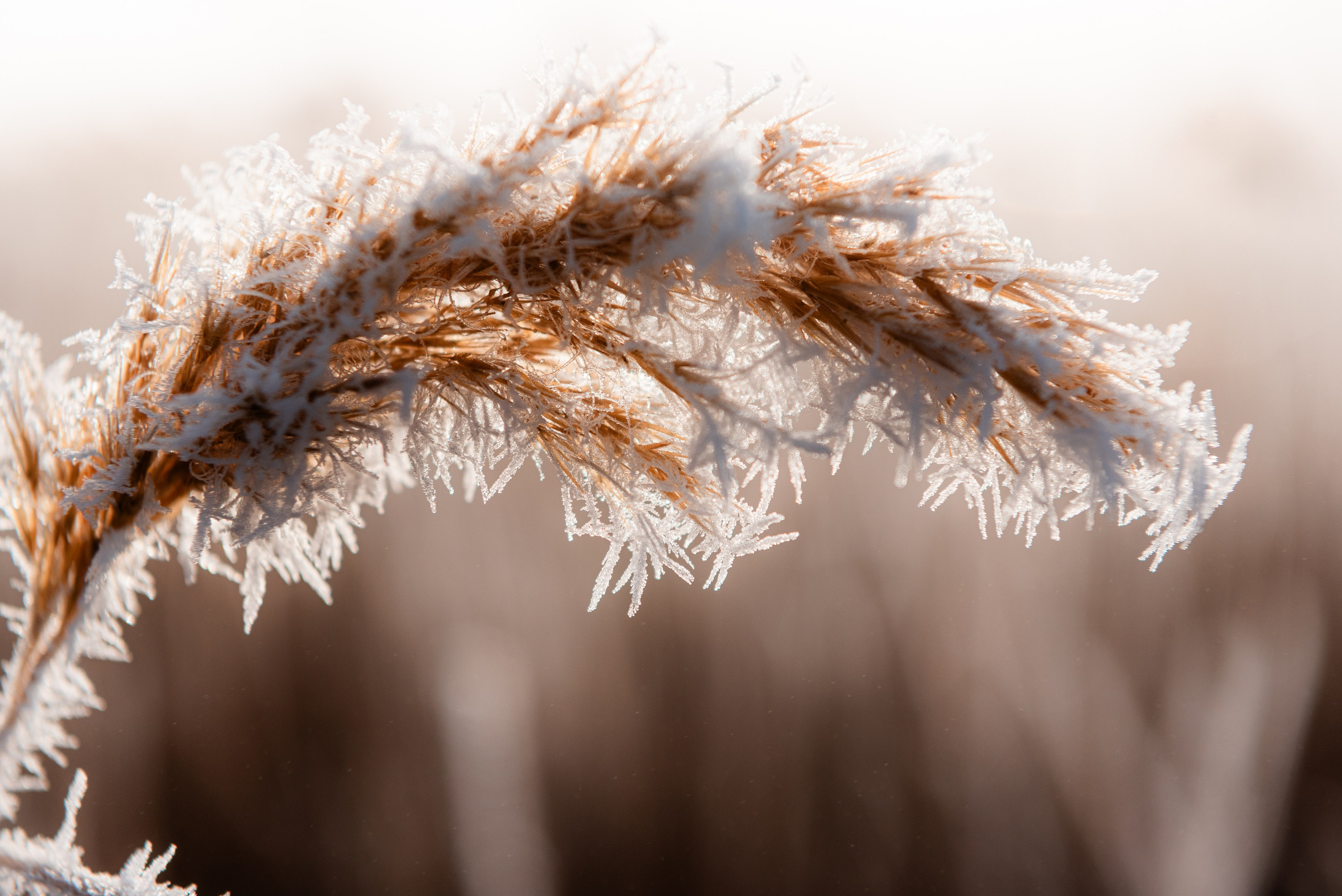 Фотографии утреннего тумана под Волжским. Фотограф в Волгограде и Волжском Александр Горбань