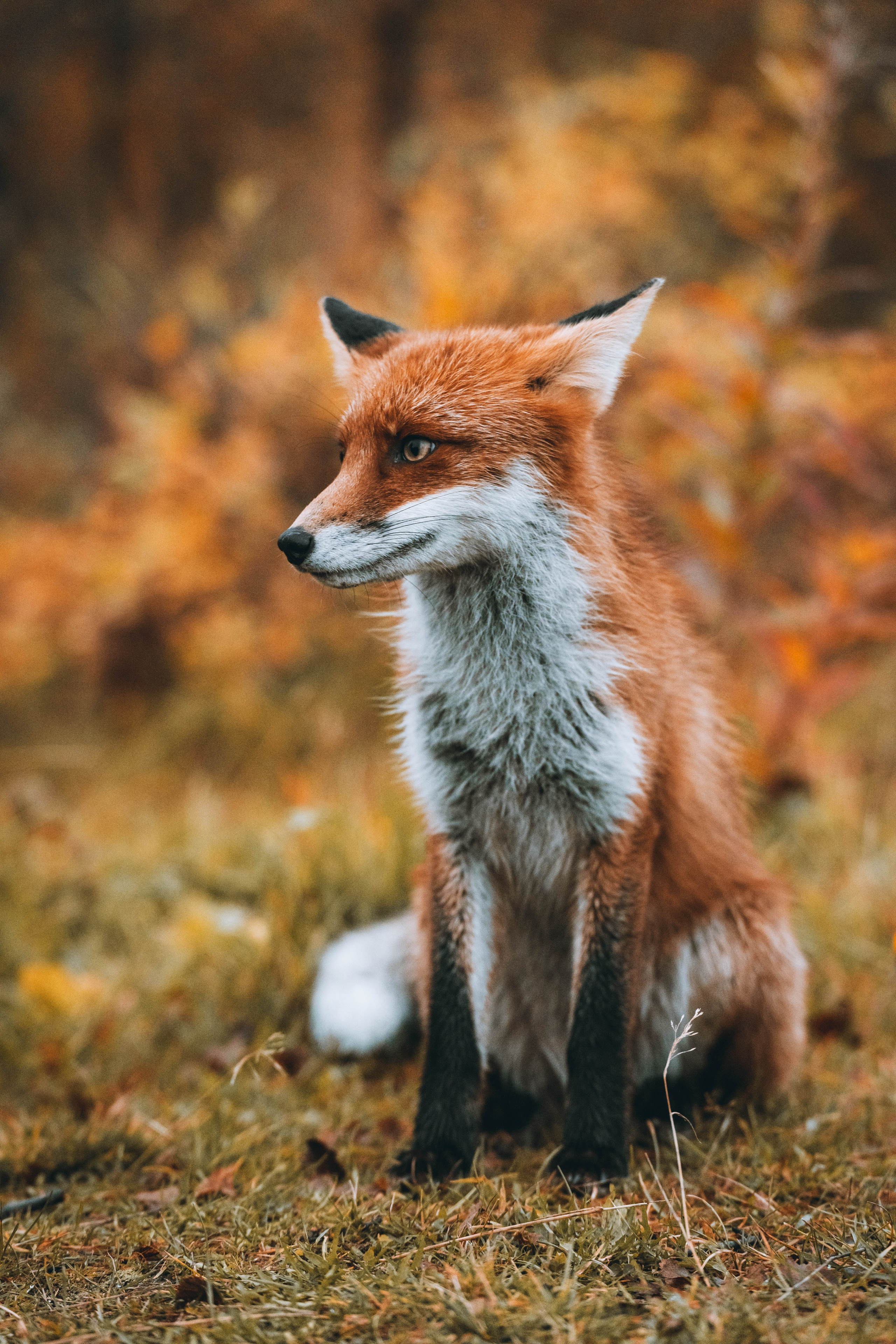 СЕВЕР. Event фотограф Степанова Александра
