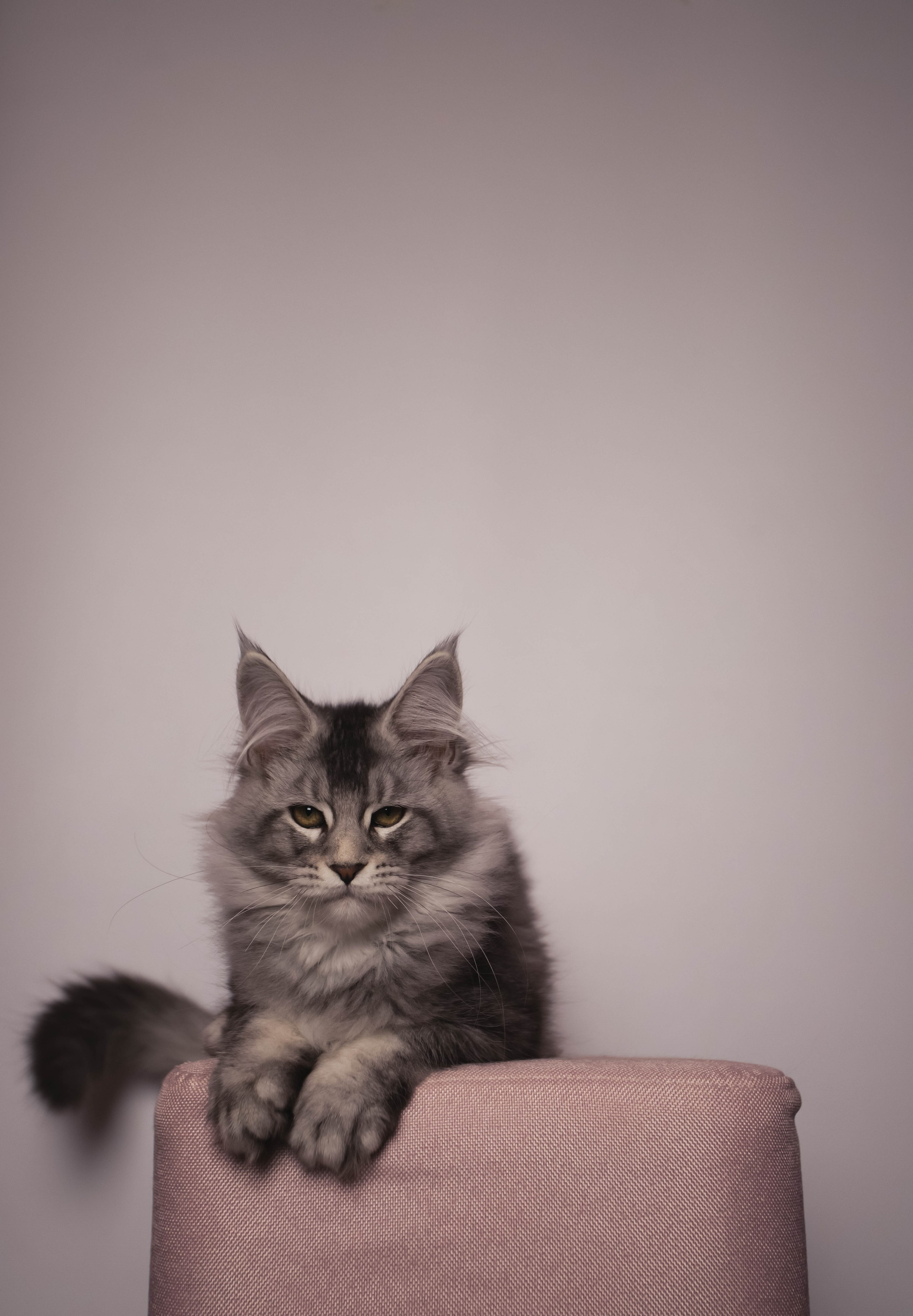 HanFors. Женский и предметный фотограф