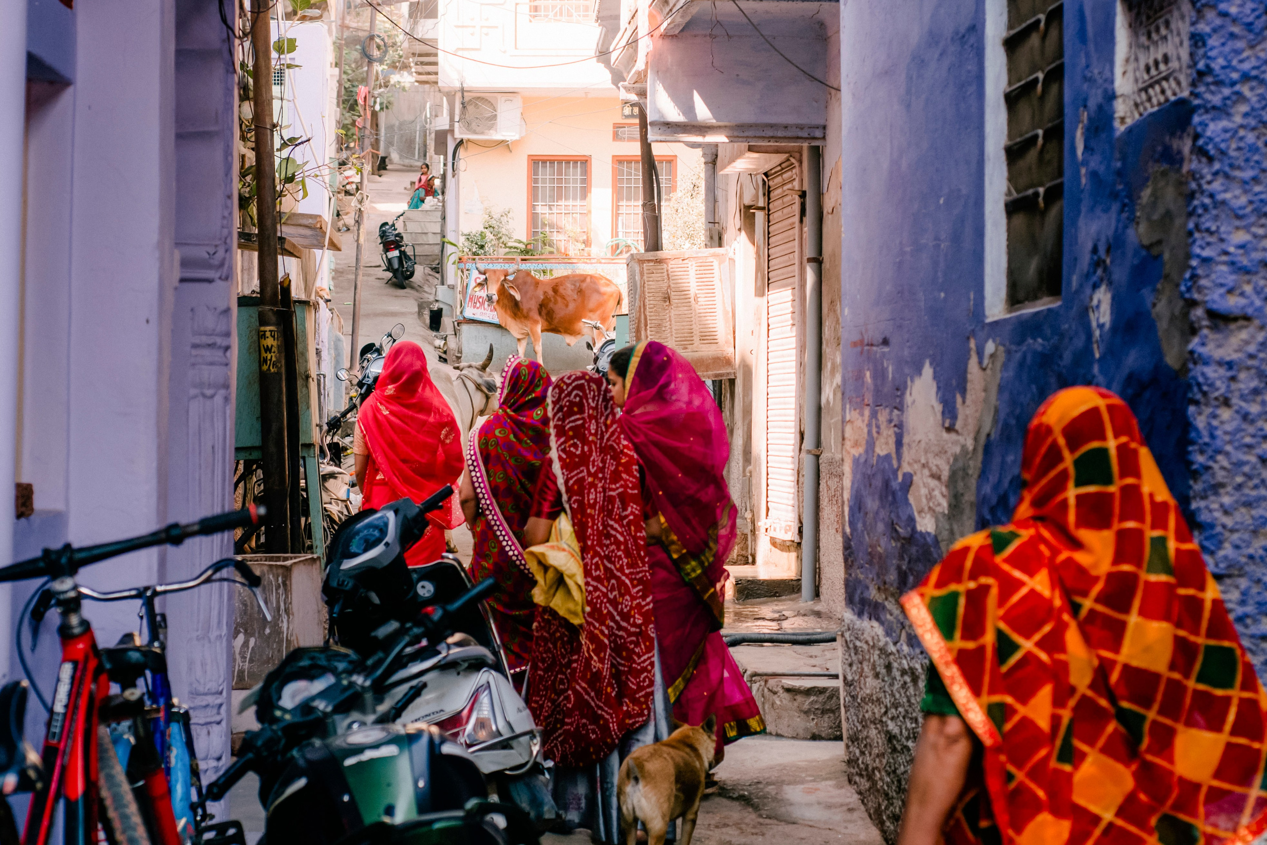Pushkar street. Iraogo